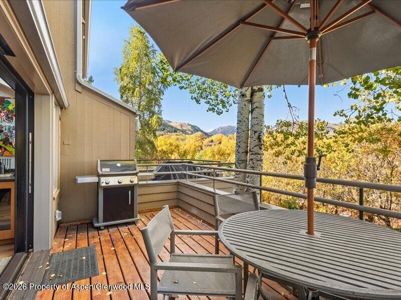100 N 8th Street #15, Aspen, CO 81611 - Photo 8