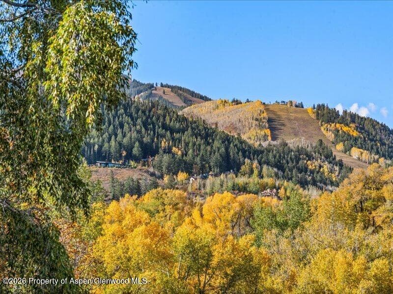 100 N 8th Street #15, Aspen, CO 81611 - Photo 9