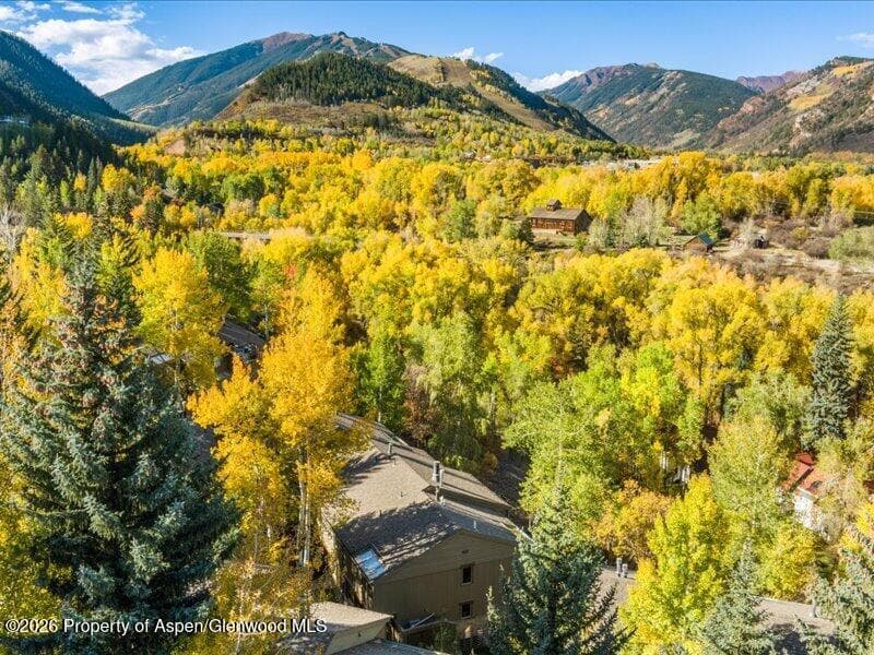 100 N 8th Street #15, Aspen, CO 81611 - Photo 10
