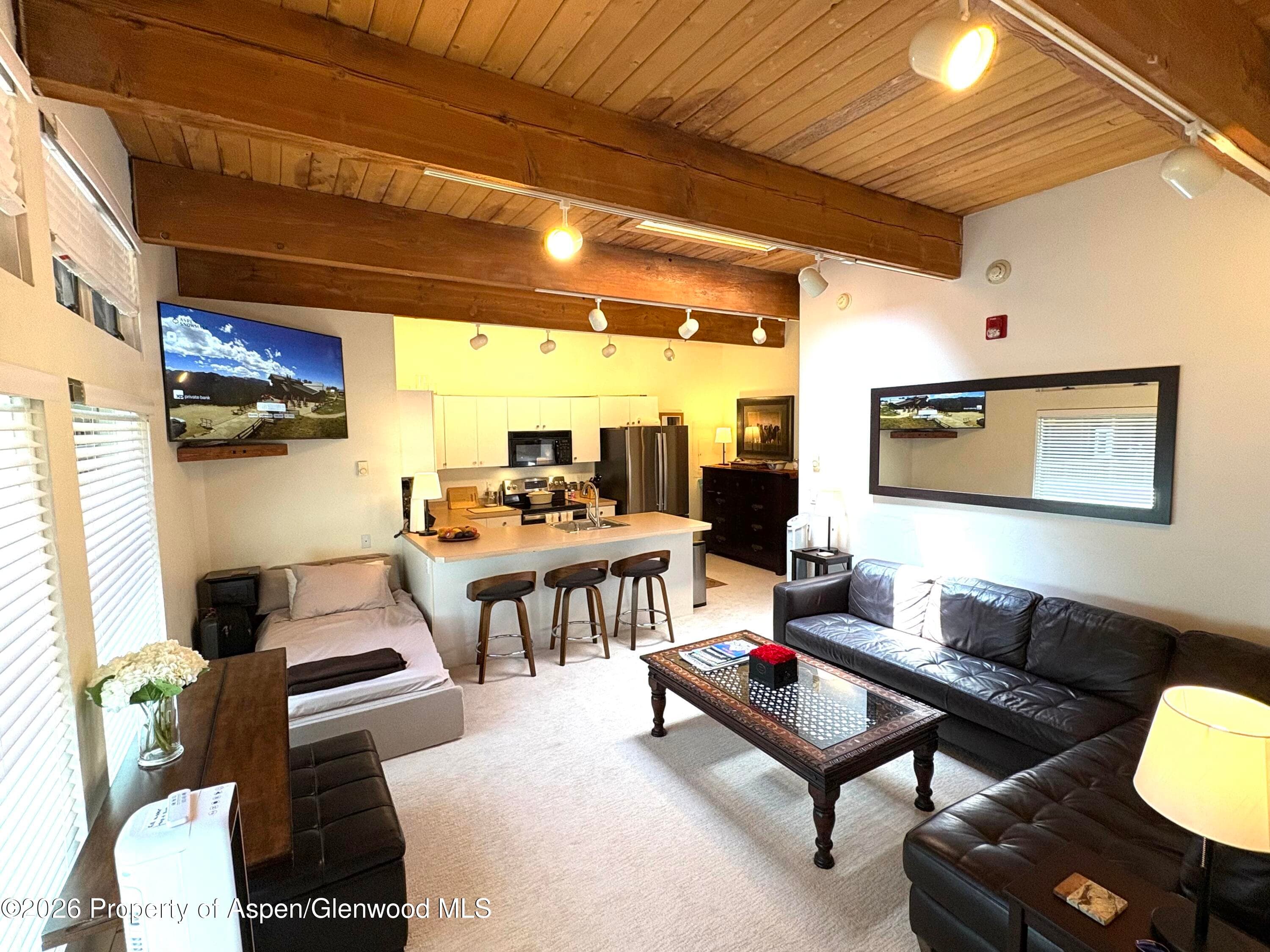 914 Waters Avenue 21, Aspen, CO 81611 - Photo 6
