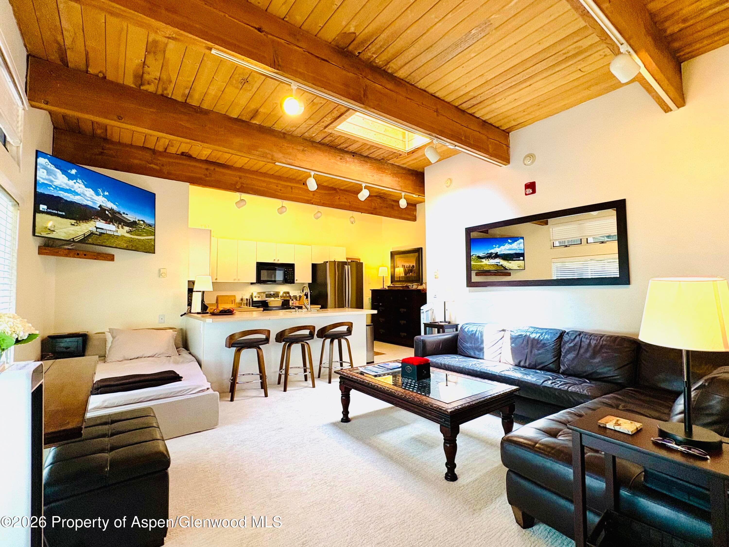914 Waters Avenue 21, Aspen, CO 81611 - Photo 7