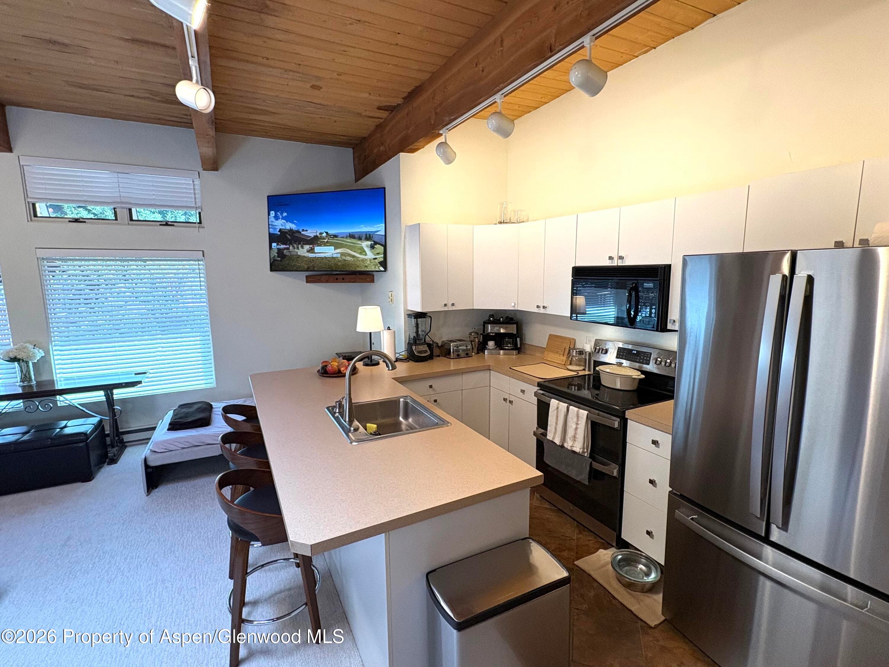 914 Waters Avenue 21, Aspen, CO 81611 - Photo 8