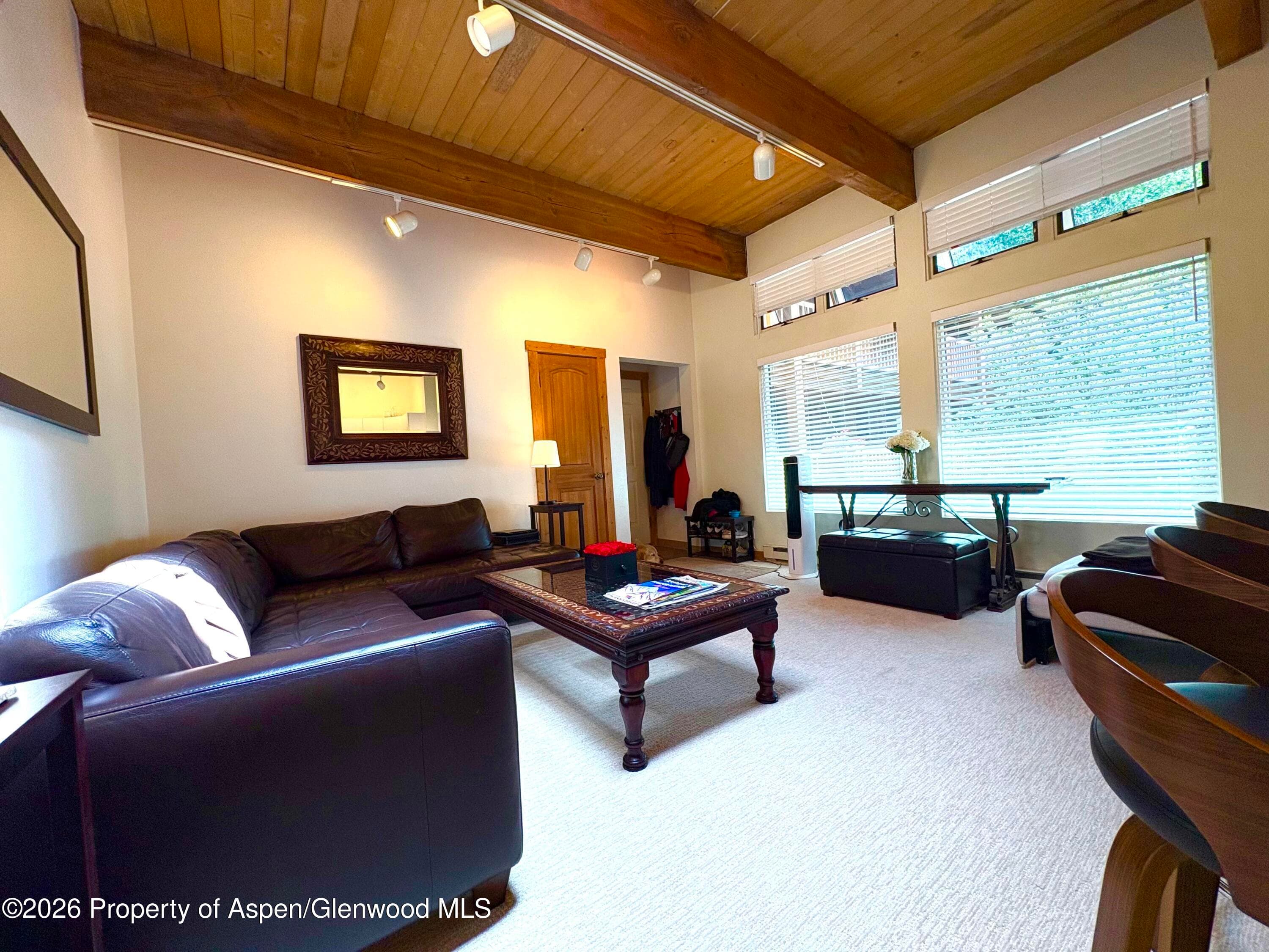914 Waters Avenue 21, Aspen, CO 81611 - Photo 9