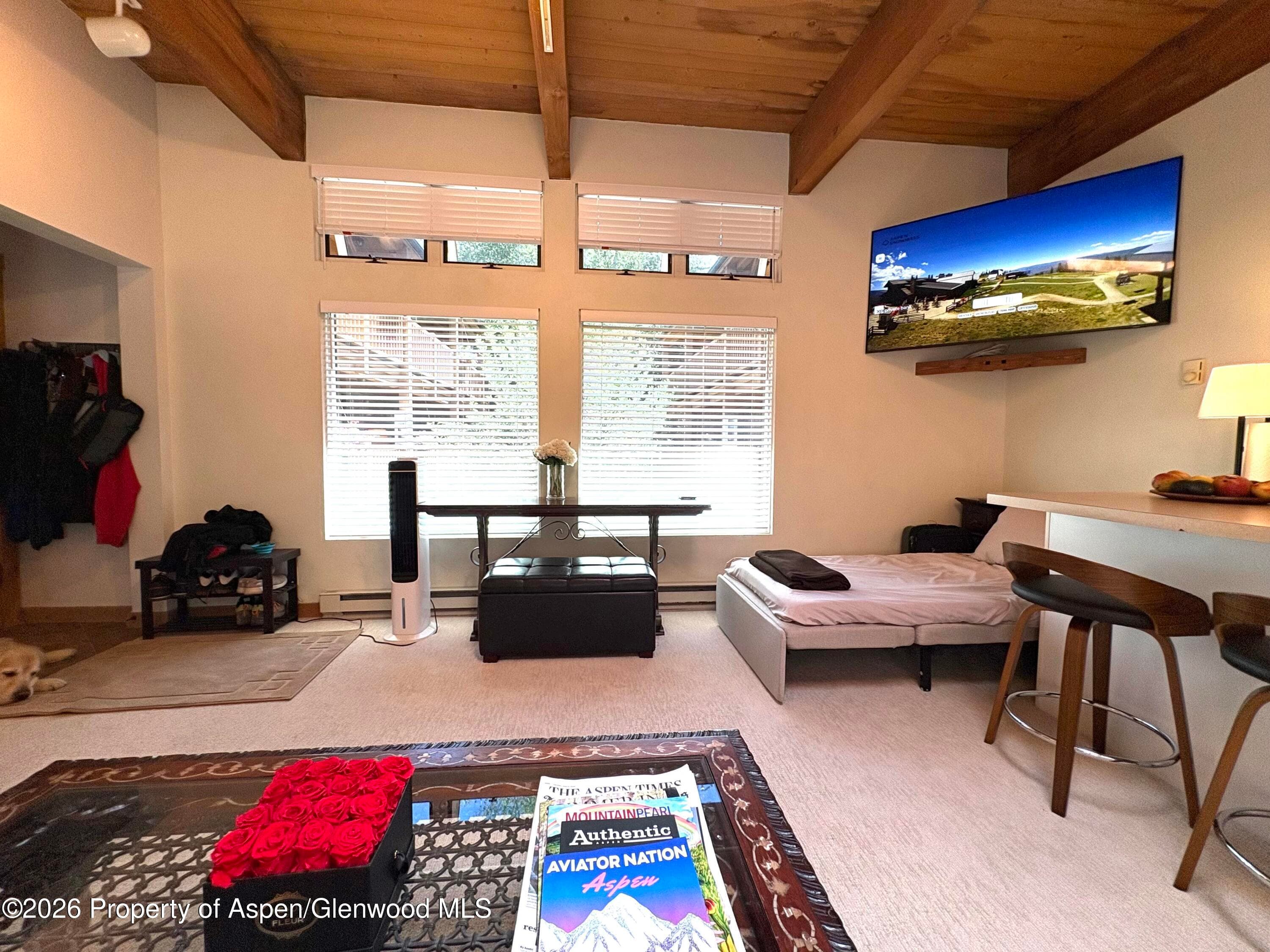 914 Waters Avenue 21, Aspen, CO 81611 - Photo 10