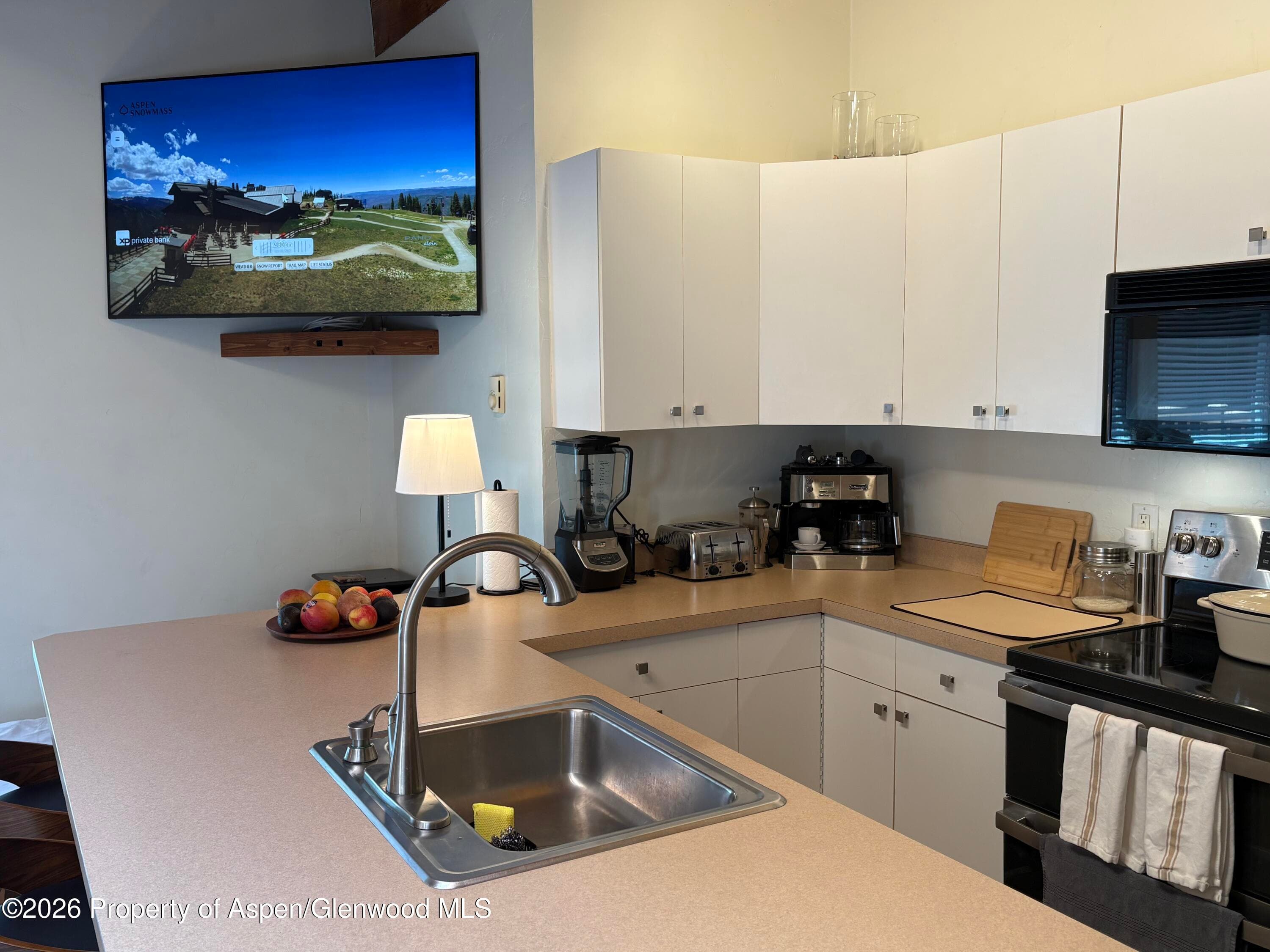 914 Waters Avenue 21, Aspen, CO 81611 - Photo 12