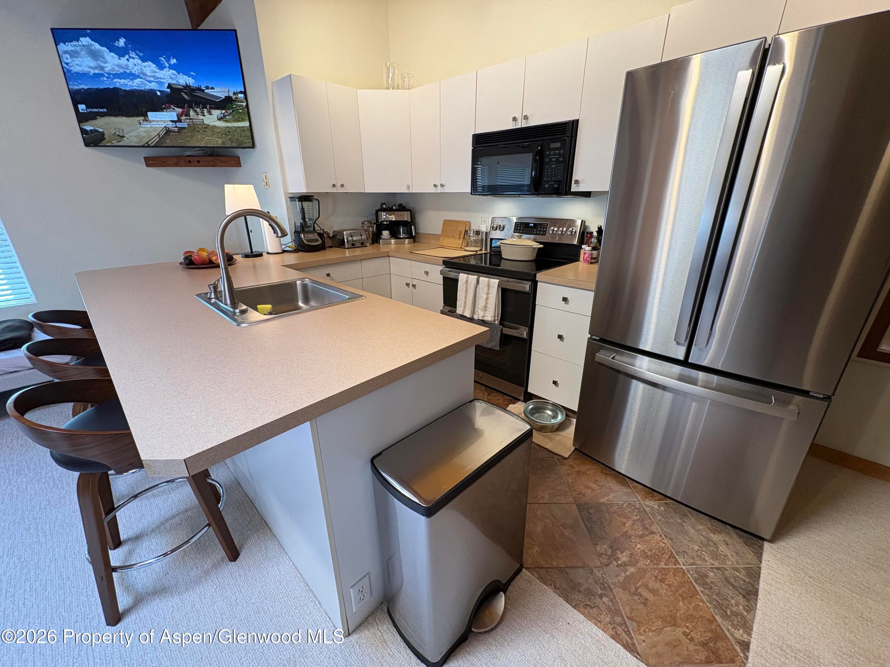 914 Waters Avenue 21, Aspen, CO 81611 - Photo 13