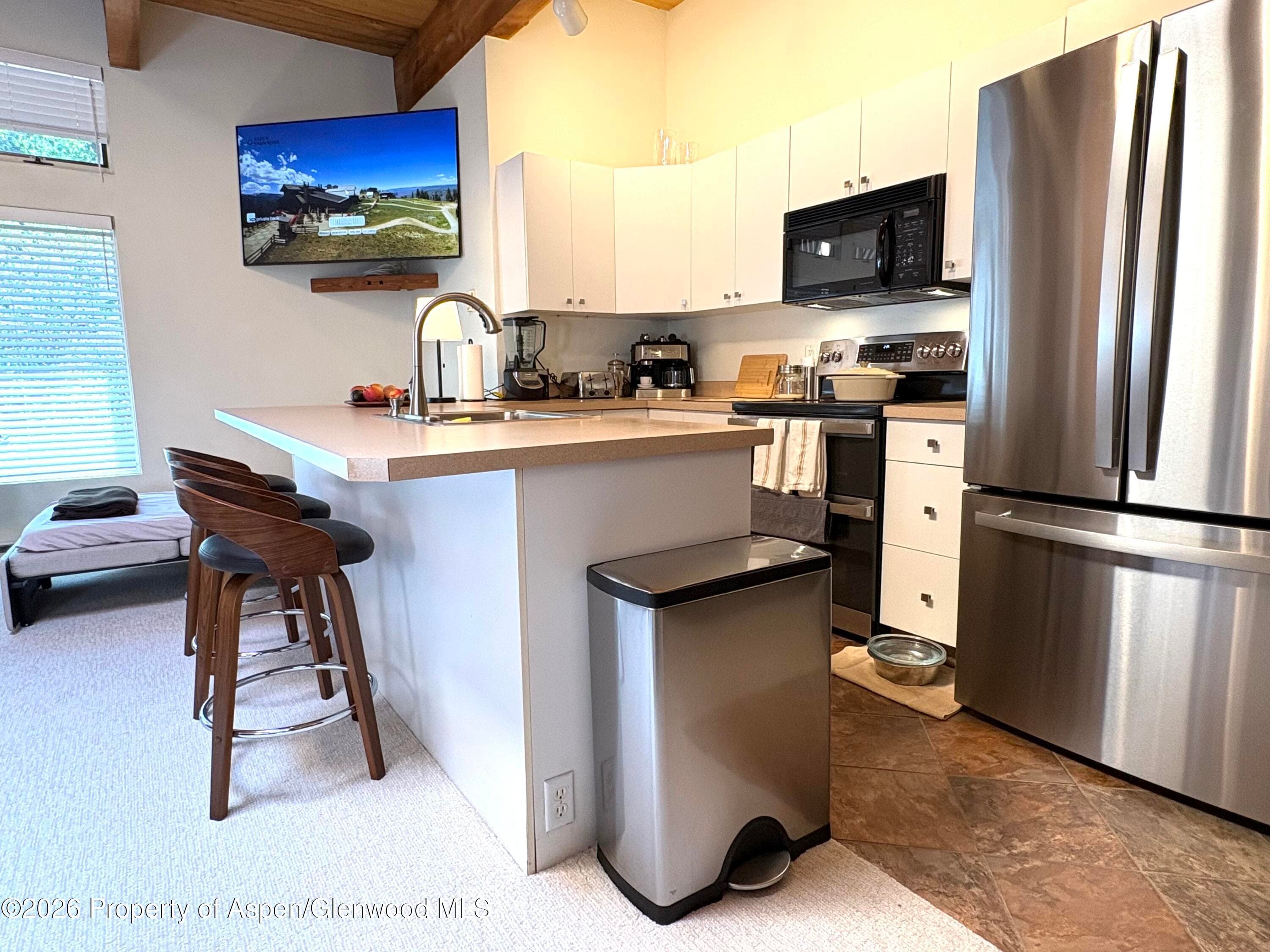 914 Waters Avenue 21, Aspen, CO 81611 - Photo 14