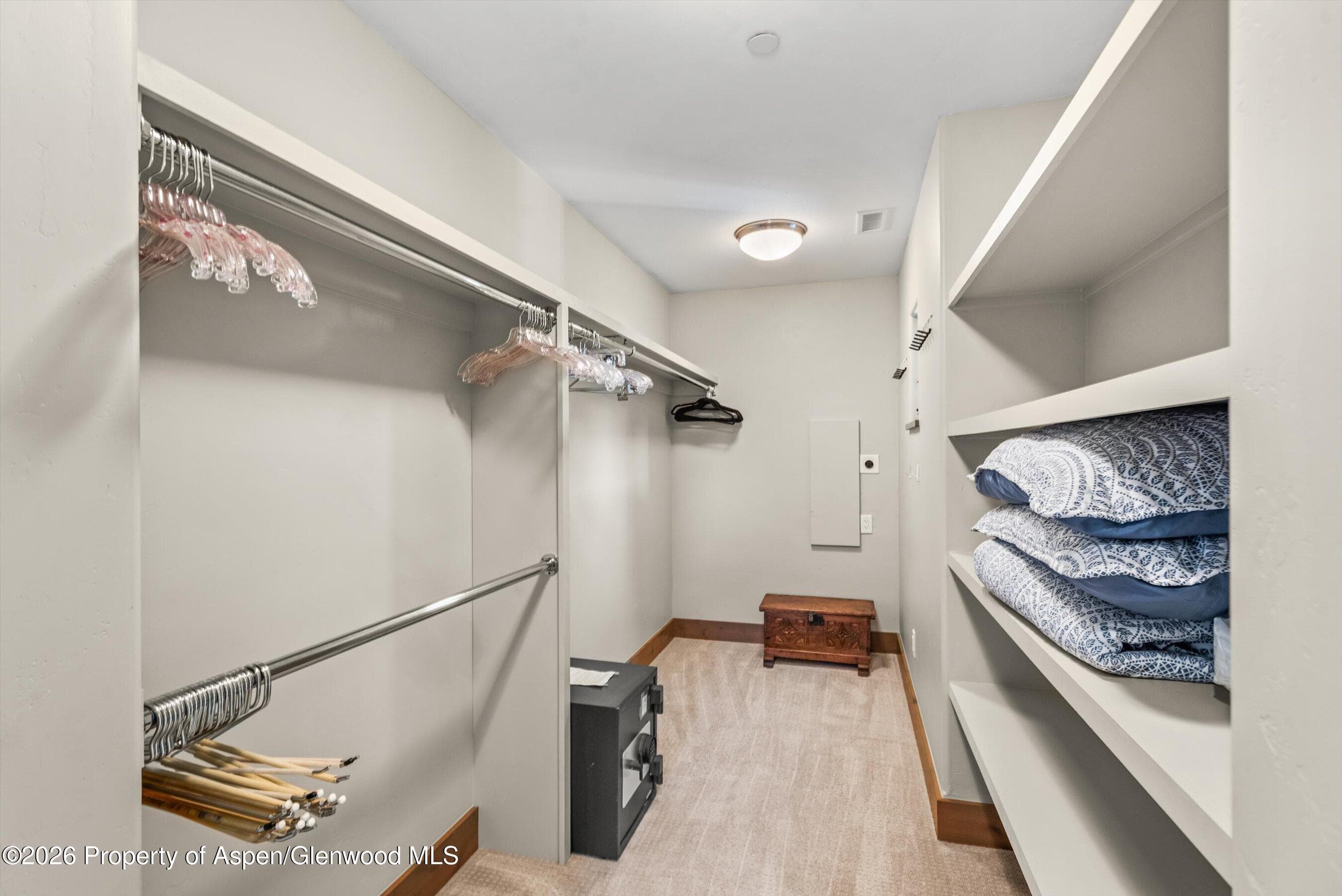 226 Overlook, Carbondale, CO 81623 - Photo 28