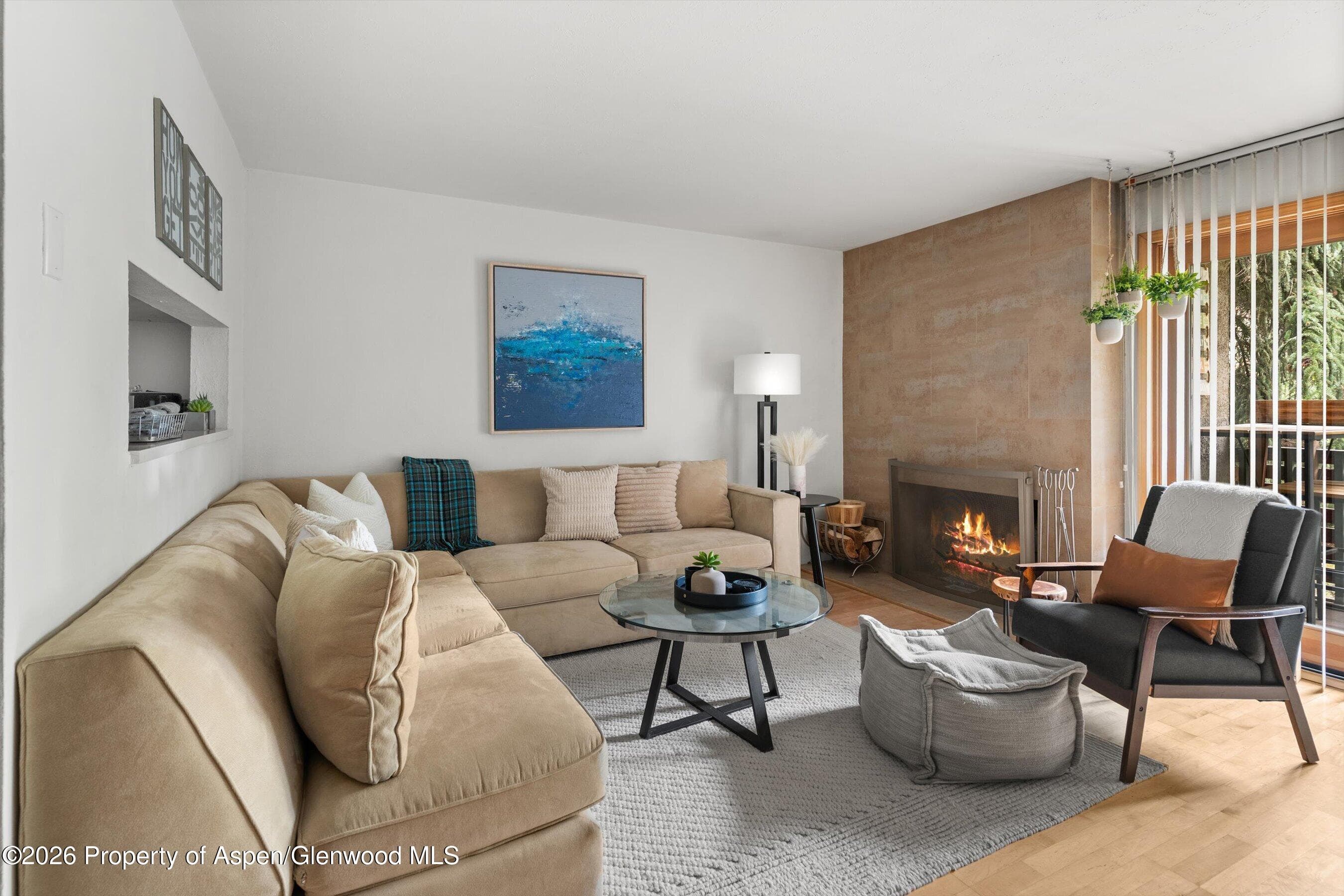 910 W Hallam Street #8, Aspen, CO 81611