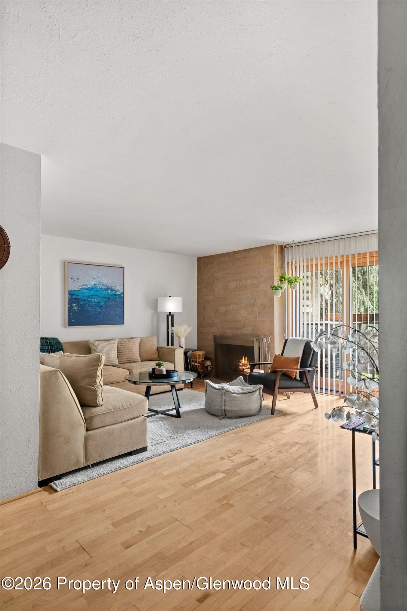 910 W Hallam Street #8 - Photo 4