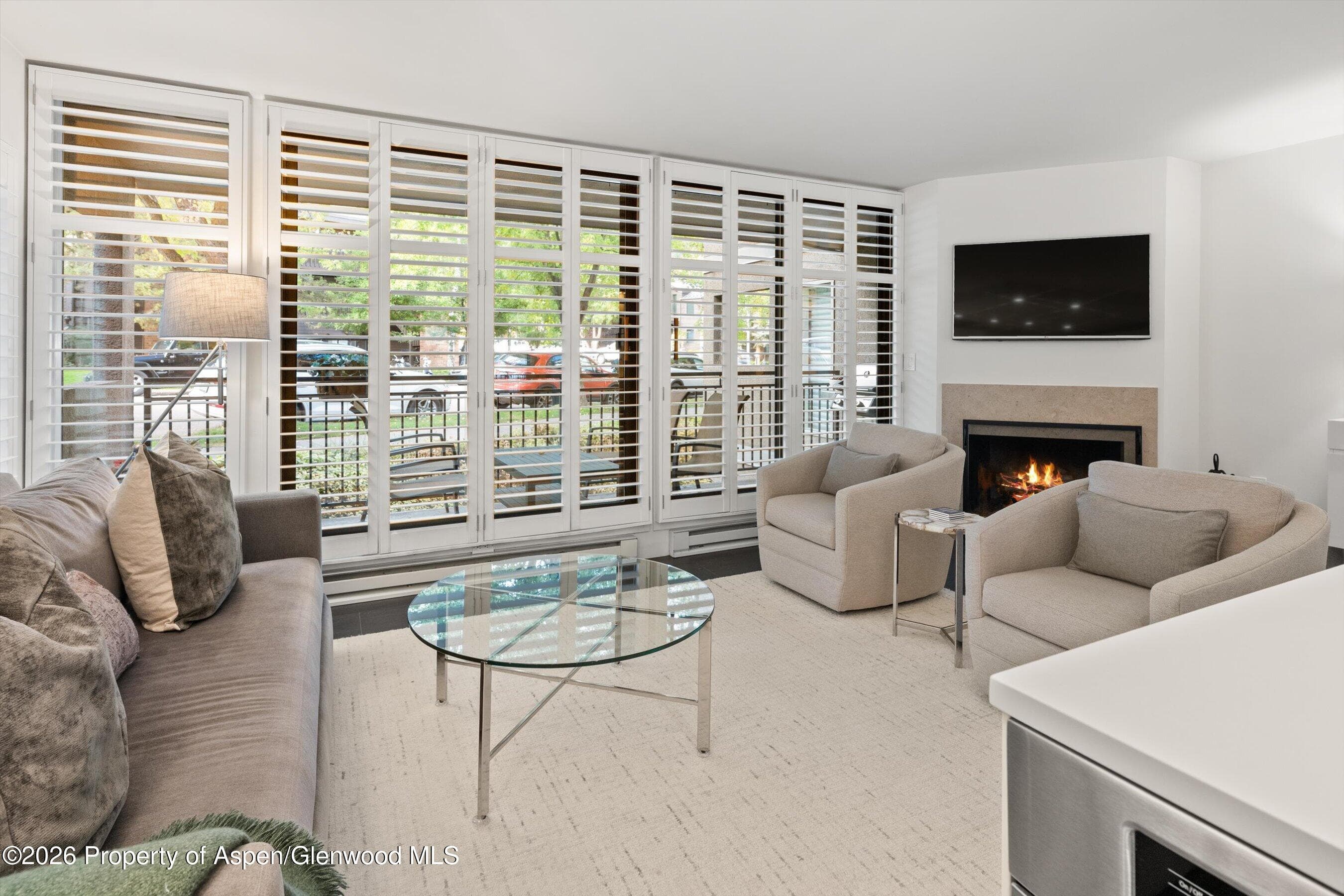 800 E Hopkins Avenue A3, Aspen, CO 81611 - Photo 3