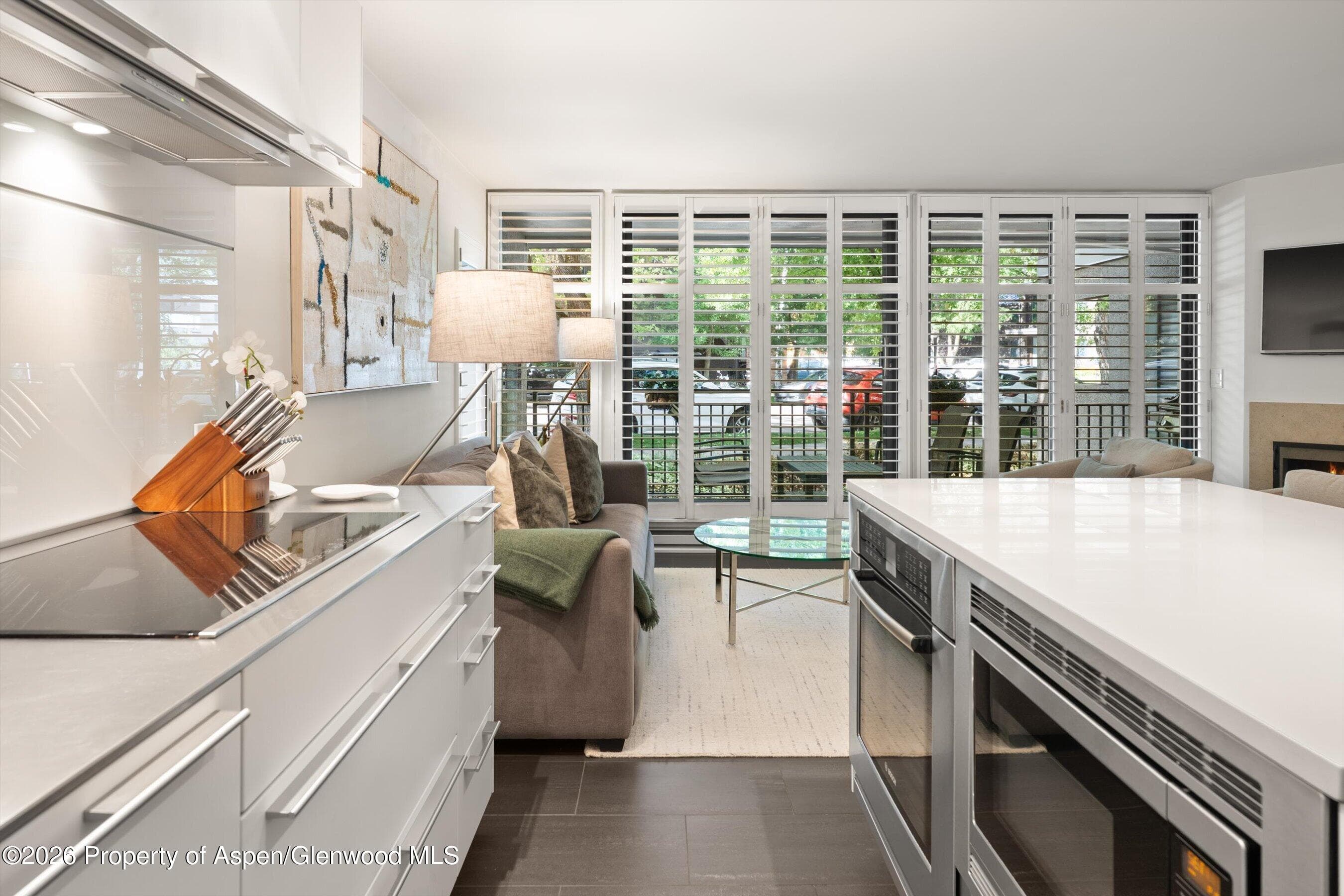 800 E Hopkins Avenue A3, Aspen, CO 81611 - Photo 9