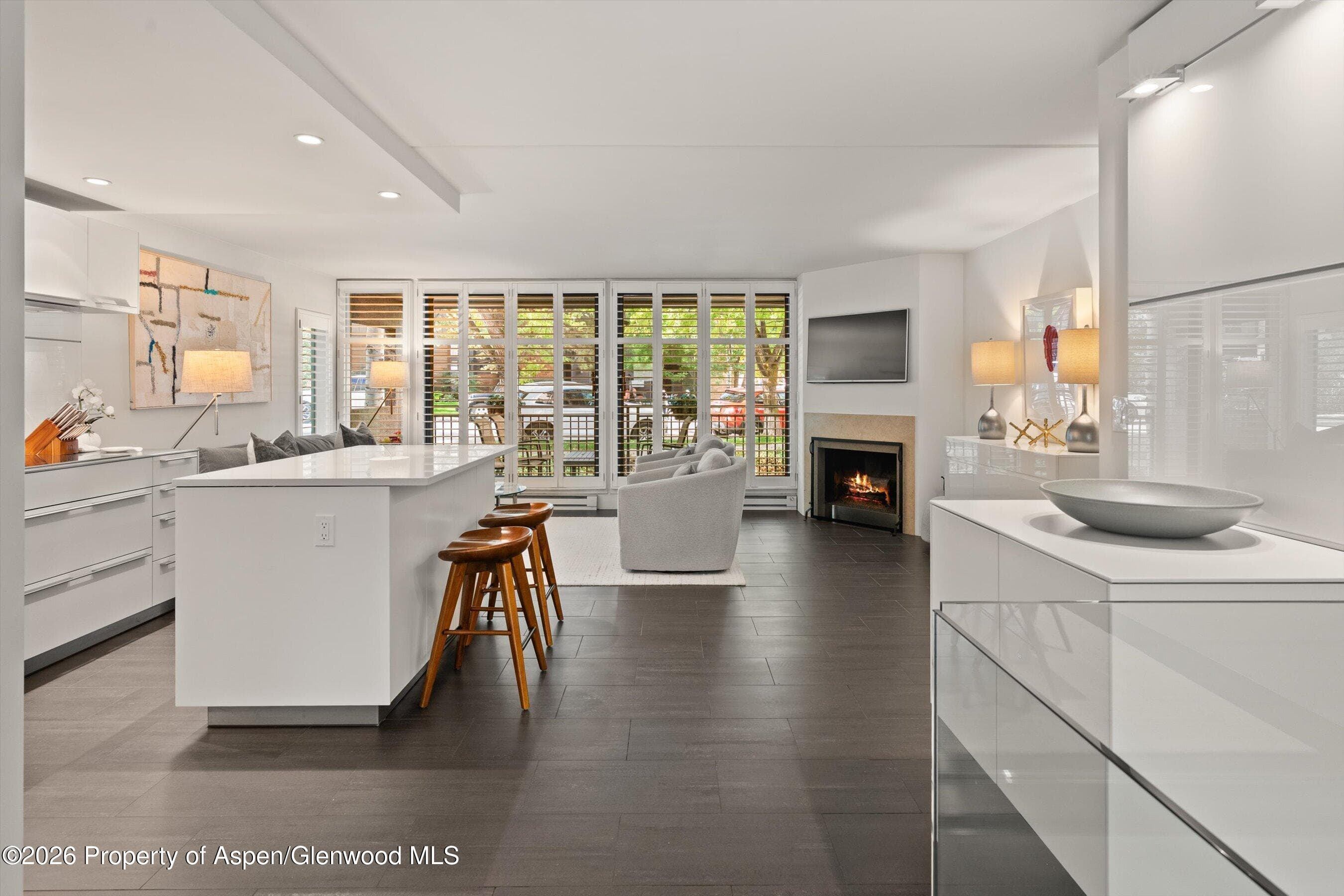 800 E Hopkins Avenue A3, Aspen, CO 81611 - Photo 10