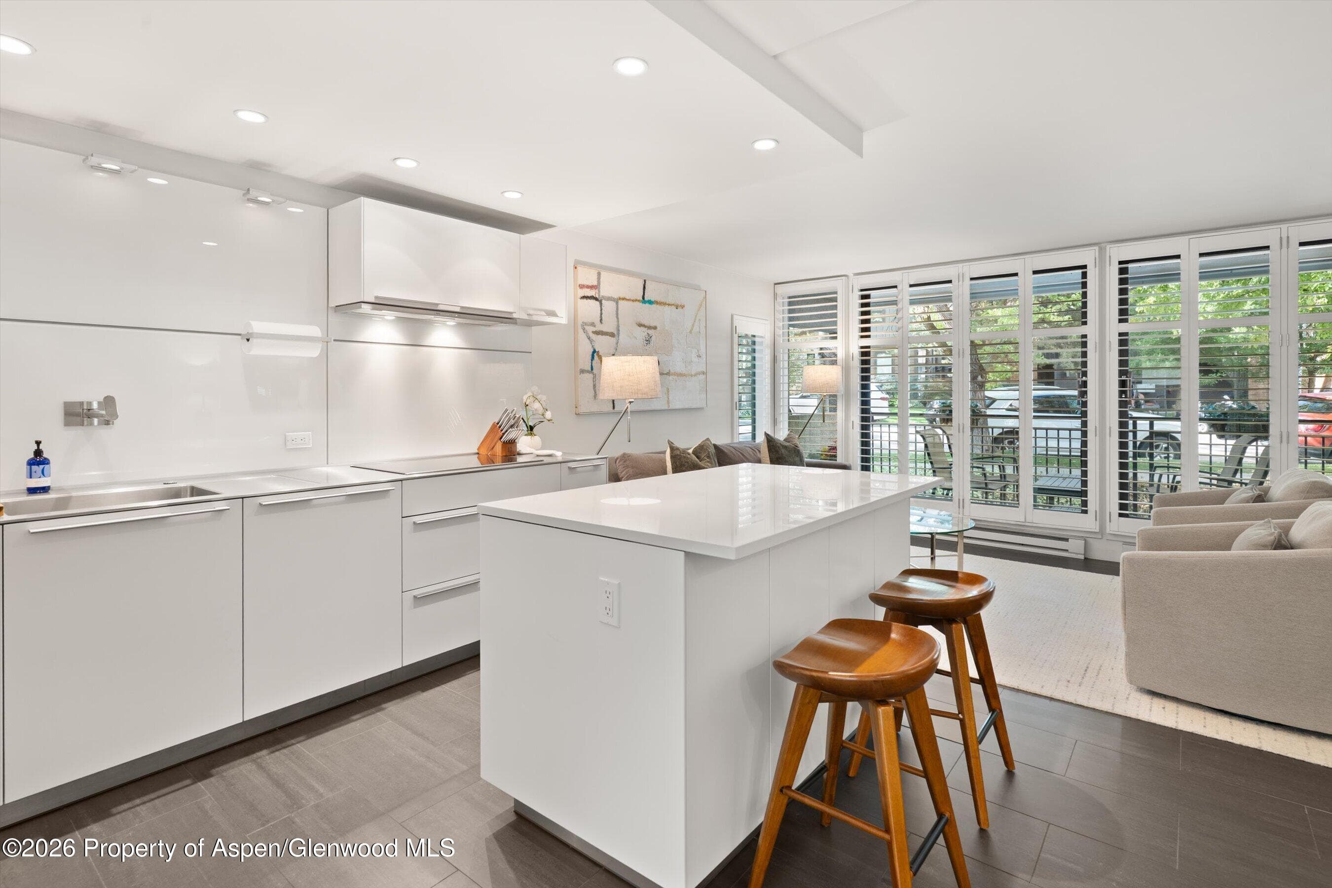 800 E Hopkins Avenue A3, Aspen, CO 81611 - Photo 11