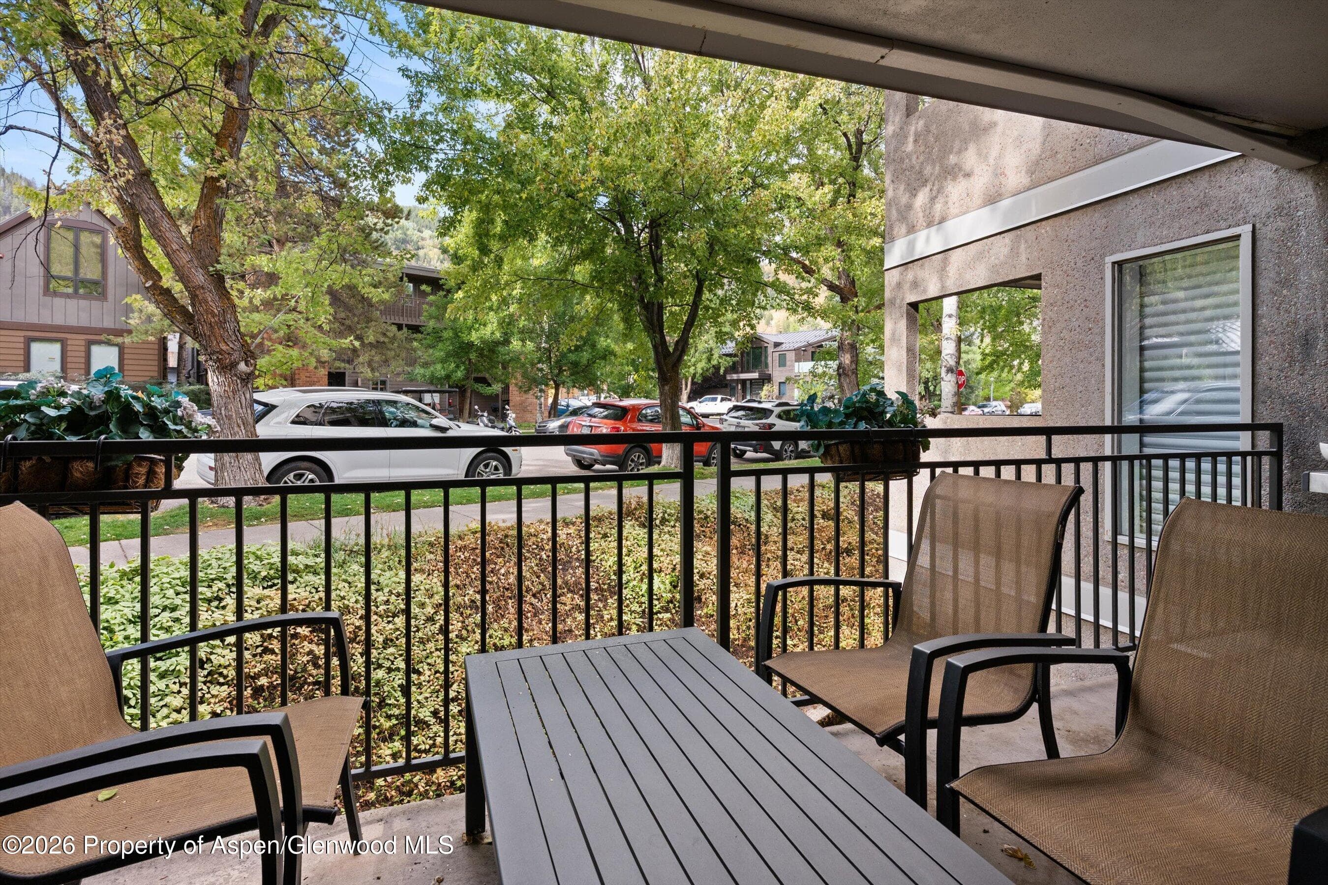 800 E Hopkins Avenue A3, Aspen, CO 81611 - Photo 22
