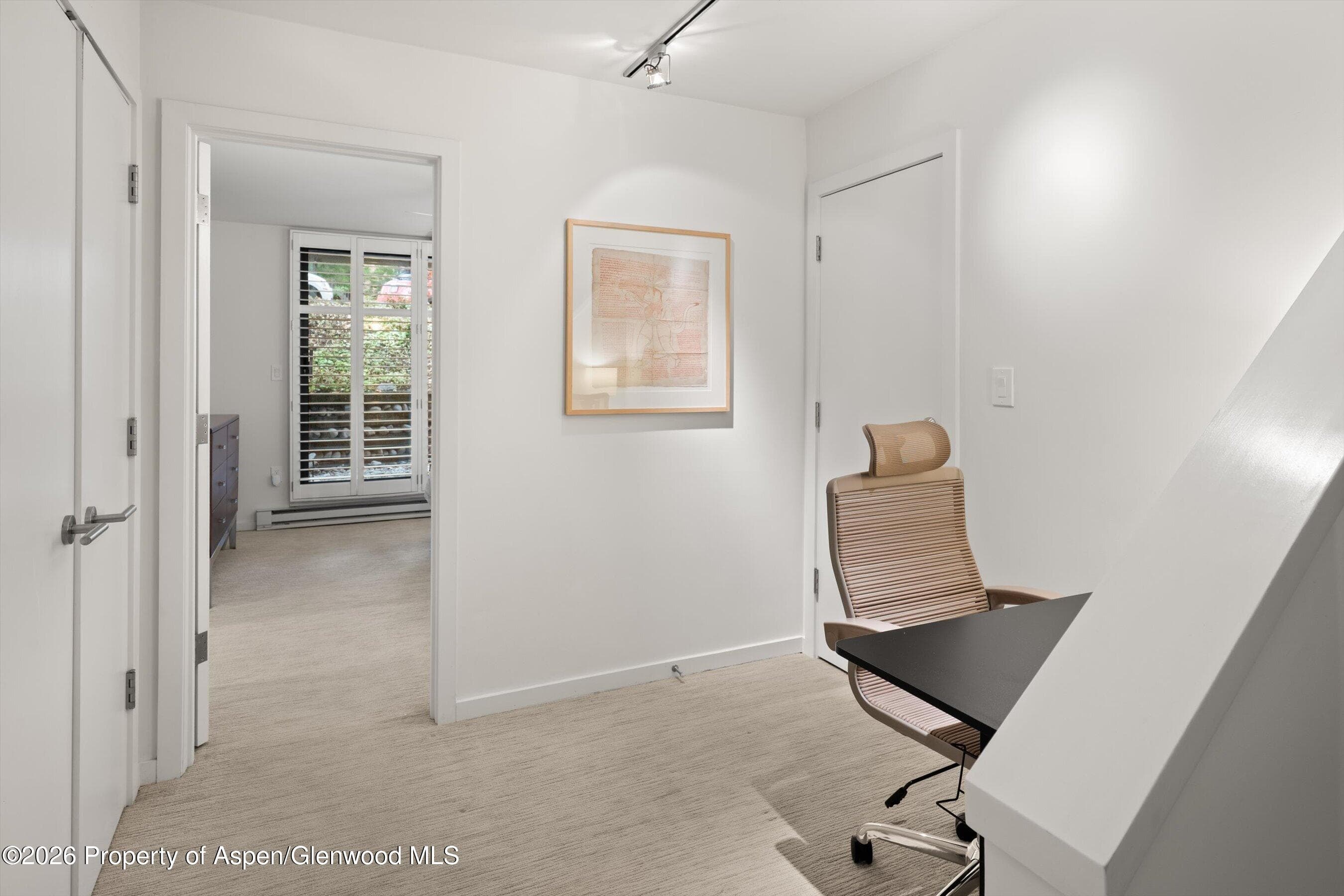 800 E Hopkins Avenue A3, Aspen, CO 81611 - Photo 14