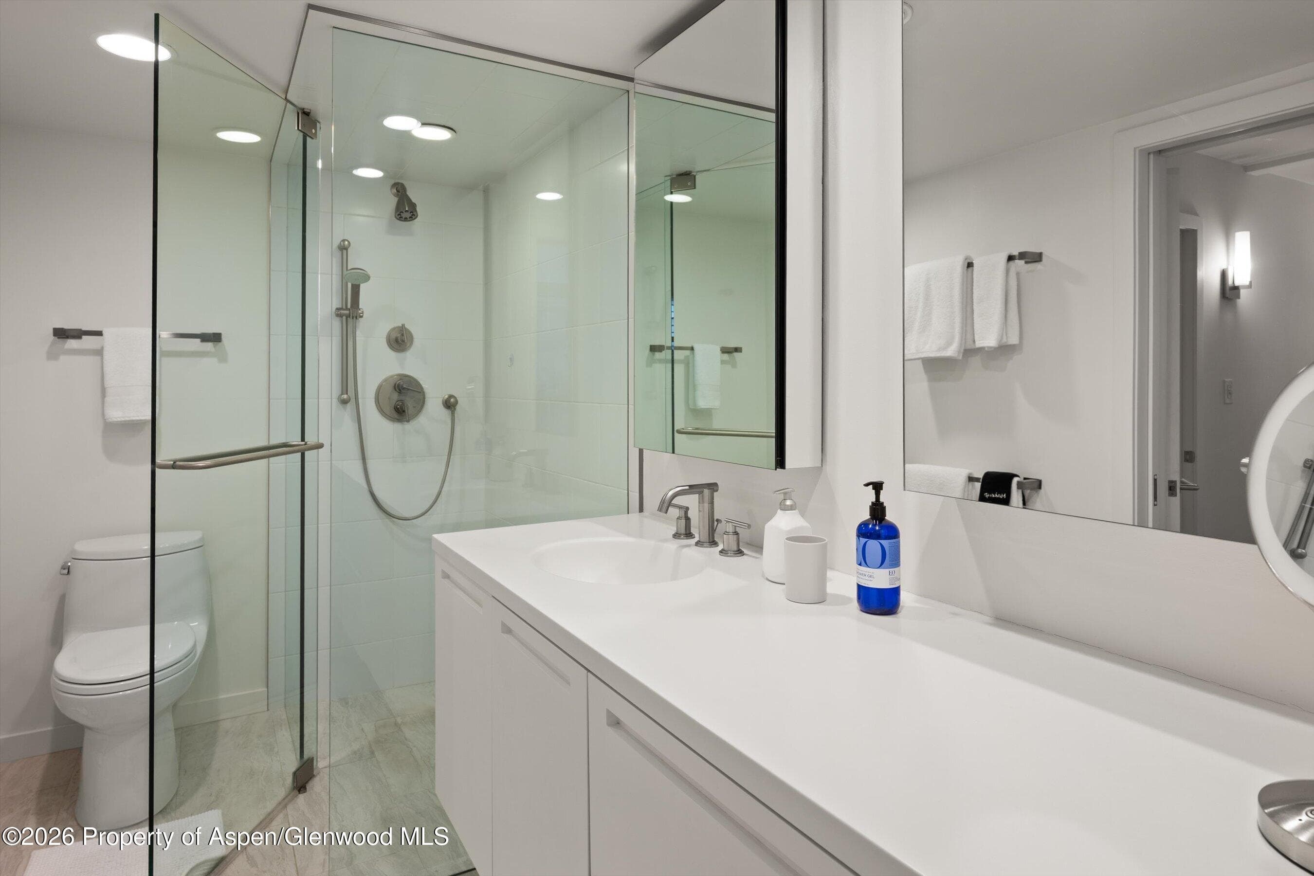 800 E Hopkins Avenue A3, Aspen, CO 81611 - Photo 18