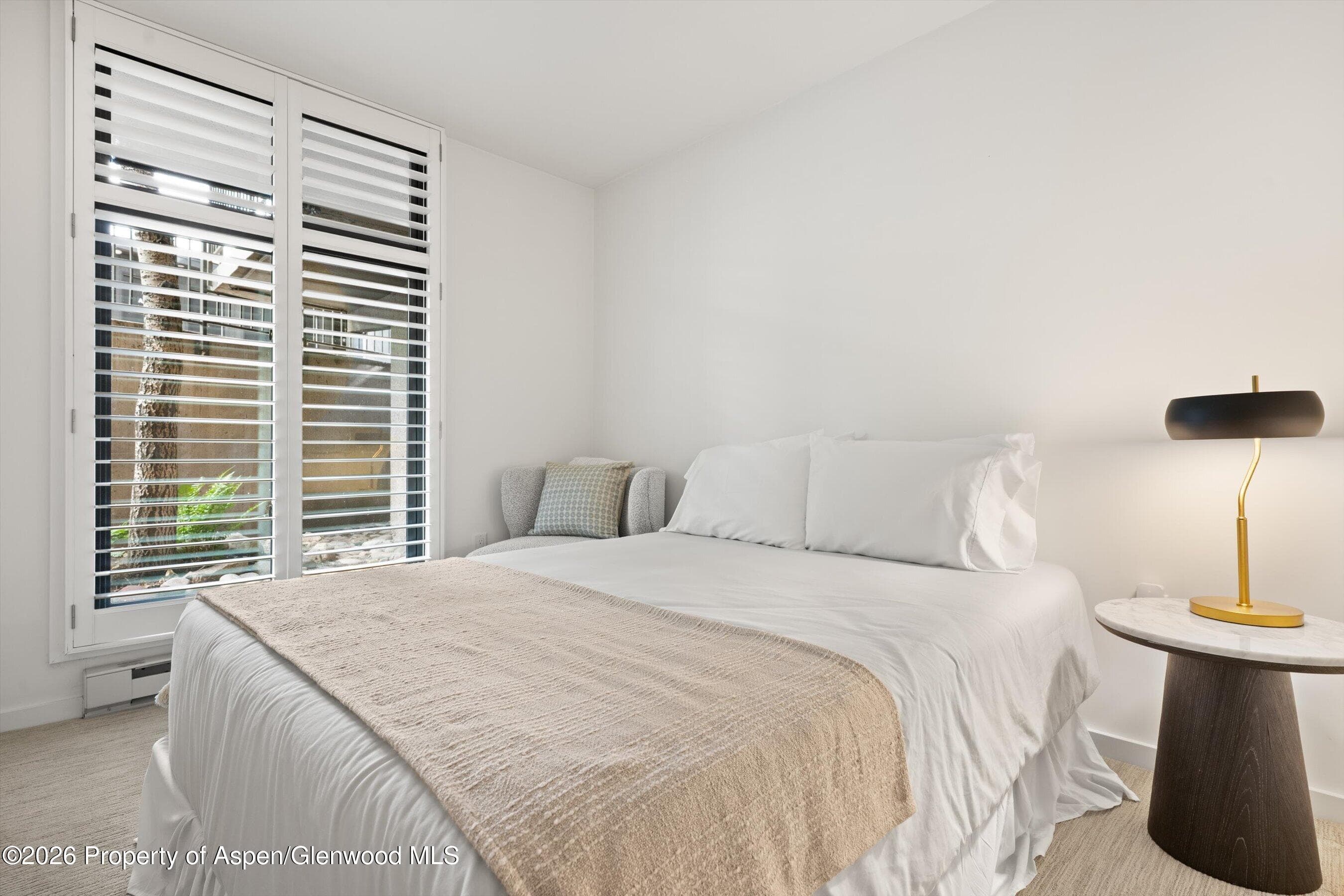 800 E Hopkins Avenue A3, Aspen, CO 81611 - Photo 19