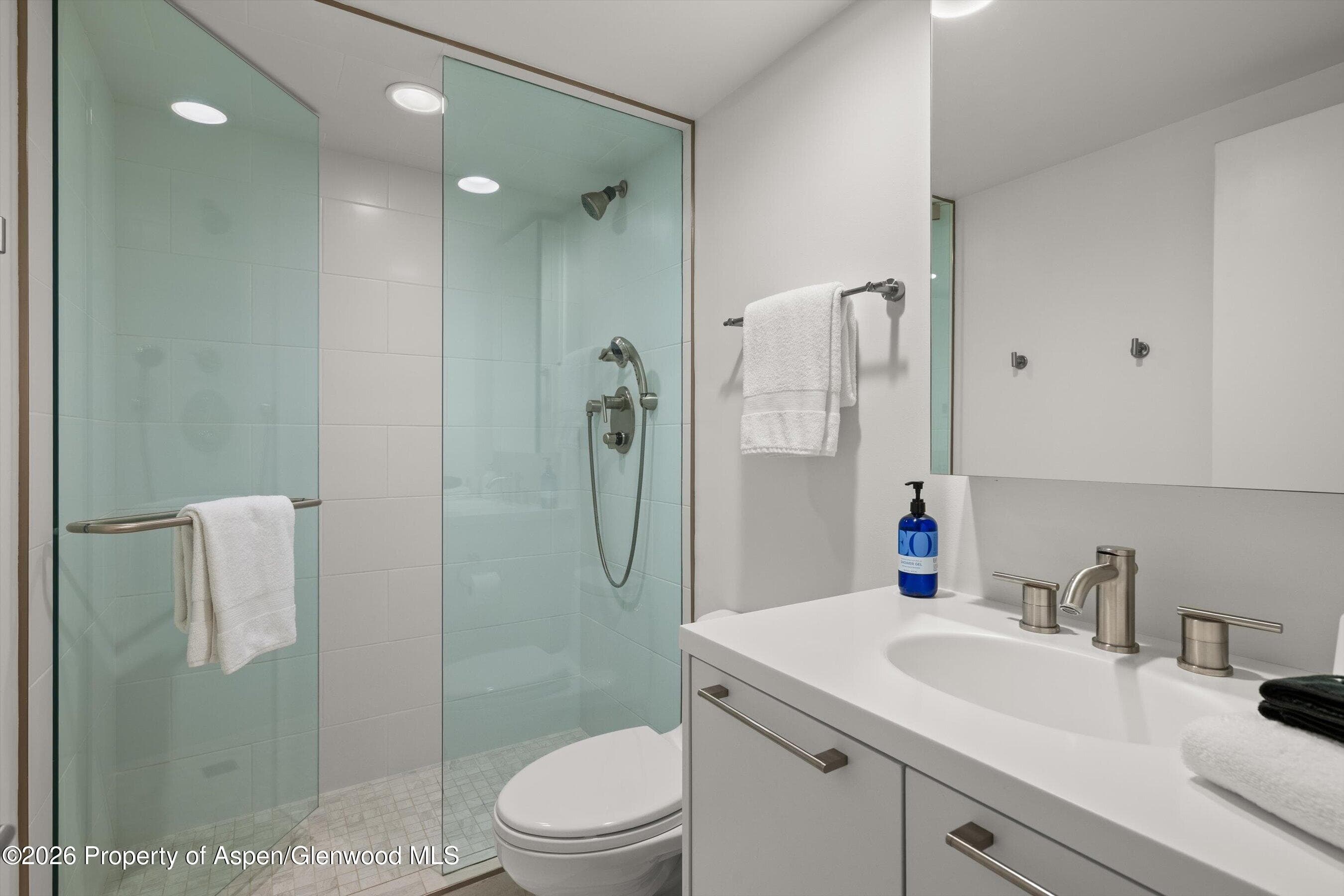 800 E Hopkins Avenue A3, Aspen, CO 81611 - Photo 20