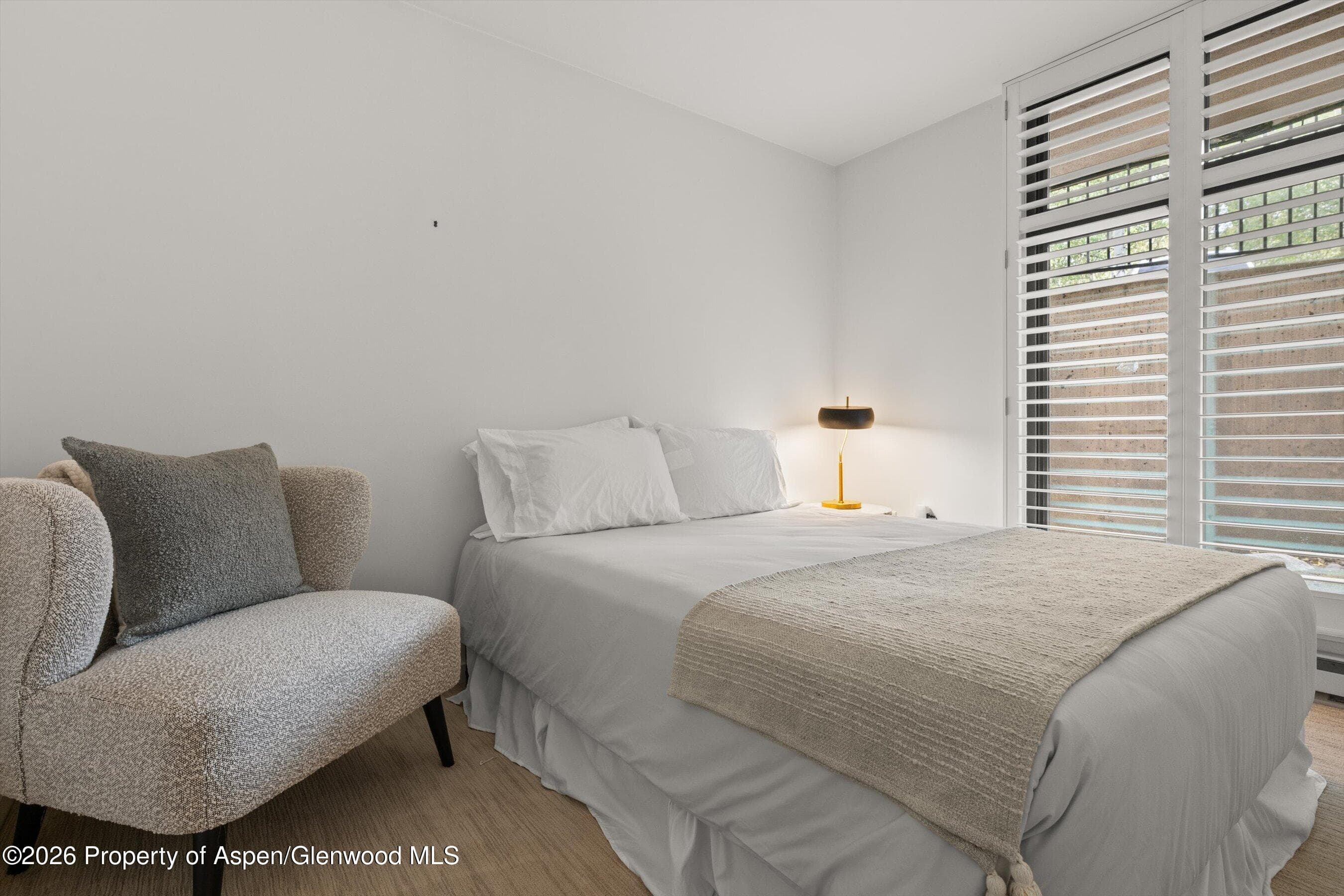 800 E Hopkins Avenue A3, Aspen, CO 81611 - Photo 21