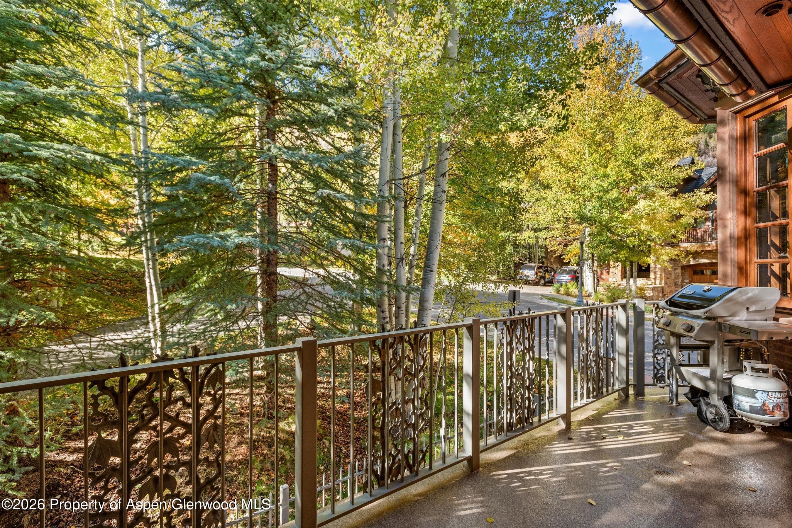 918 S Mill Street A, Aspen, CO 81611 - Photo 10
