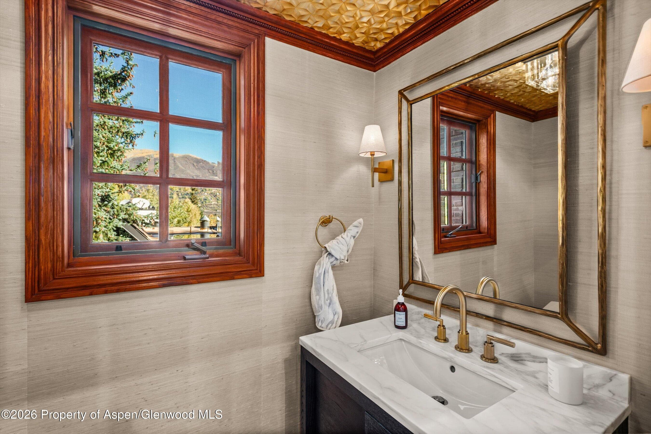918 S Mill Street A, Aspen, CO 81611 - Photo 16