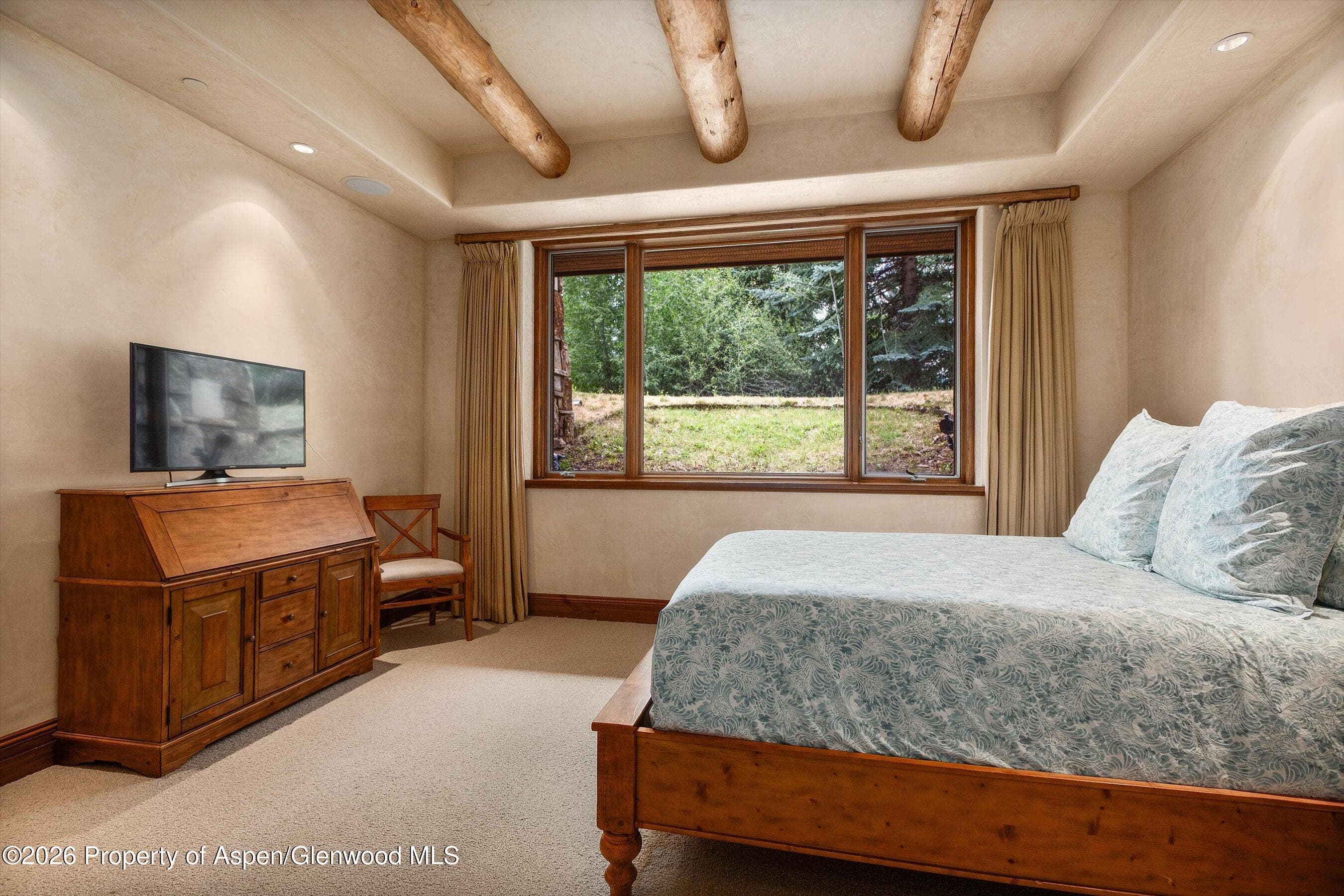 247 Willoughby Way, Aspen, CO 81611 - Photo 40