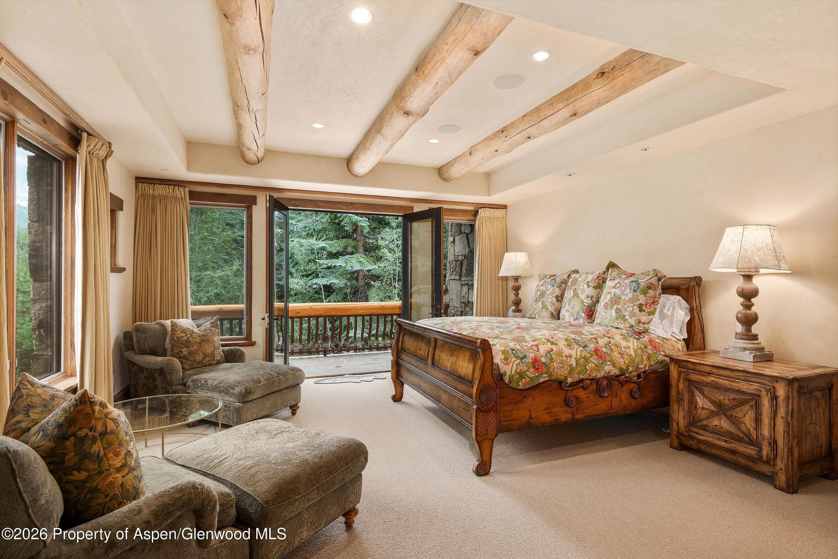 247 Willoughby Way, Aspen, CO 81611 - Photo 30