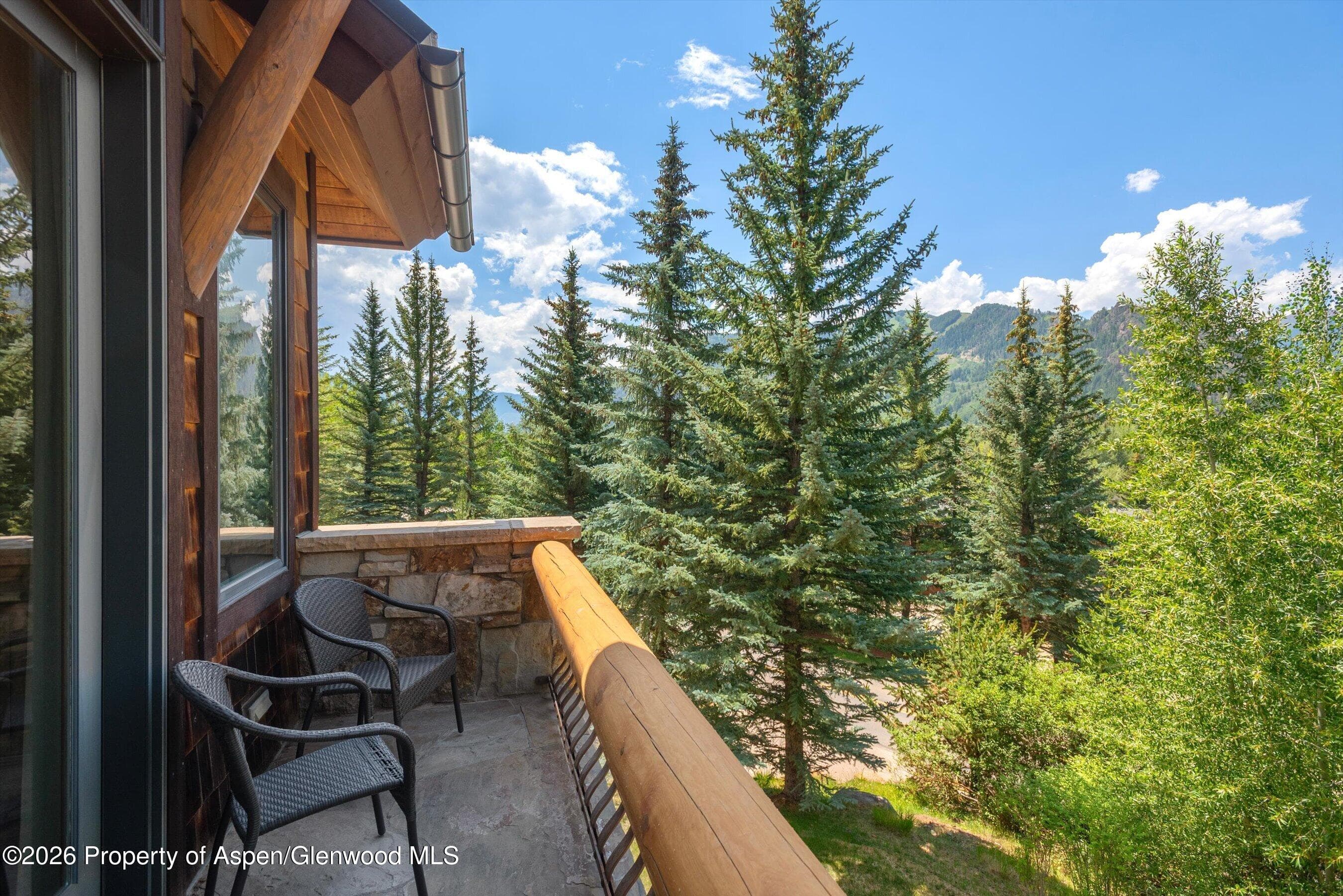 247 Willoughby Way, Aspen, CO 81611 - Photo 27