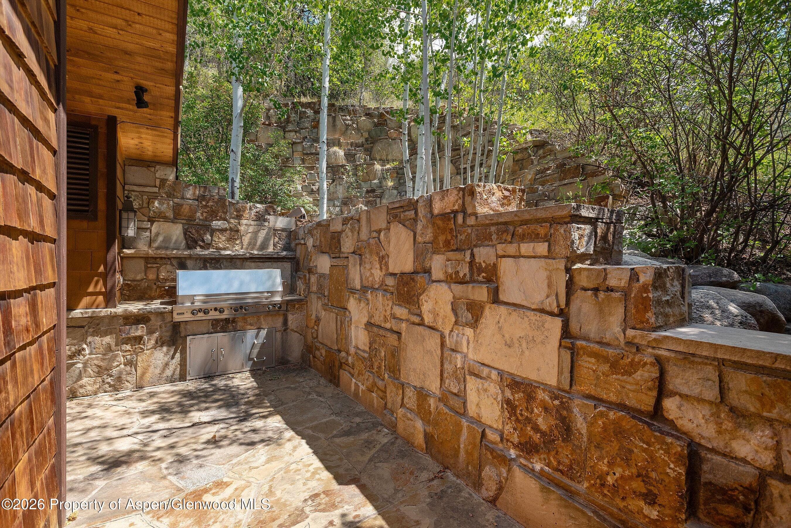 247 Willoughby Way, Aspen, CO 81611 - Photo 20