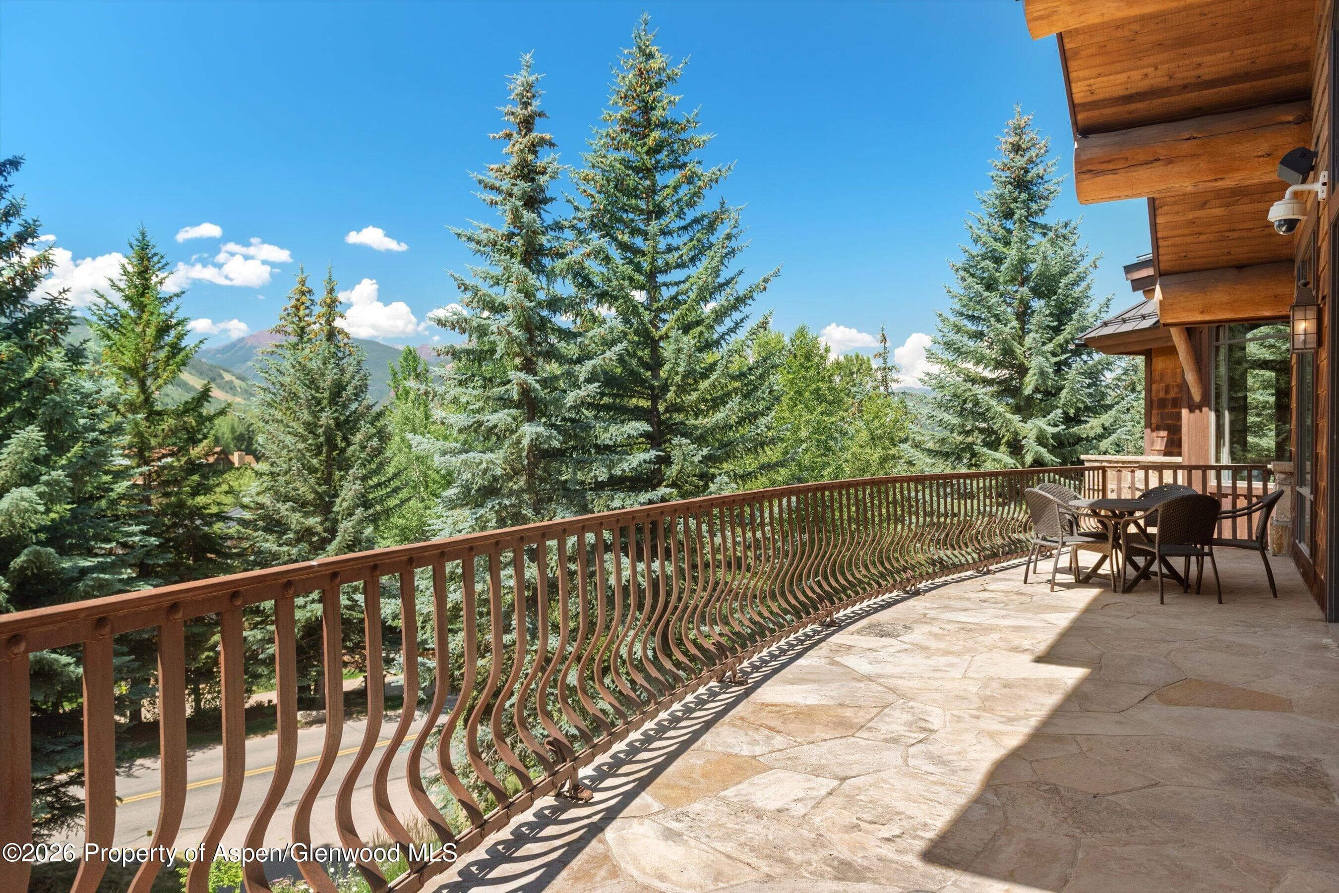 247 Willoughby Way, Aspen, CO 81611 - Photo 19