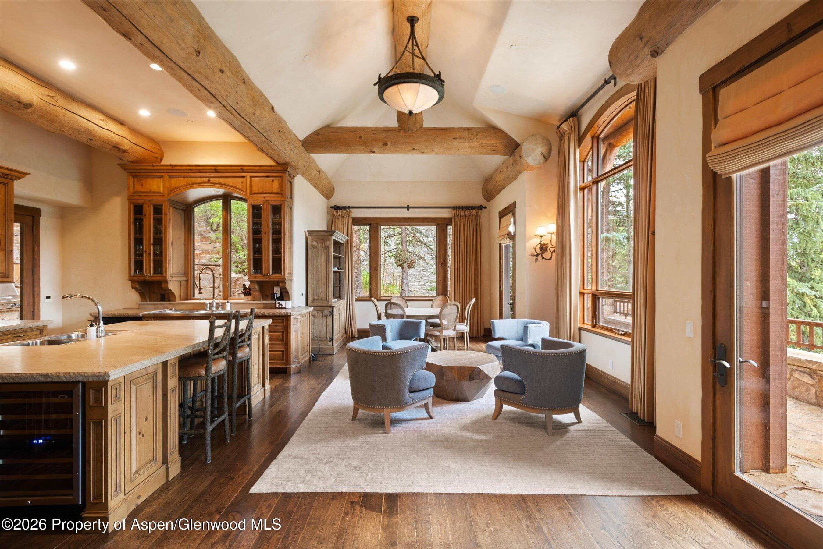 247 Willoughby Way, Aspen, CO 81611 - Photo 12