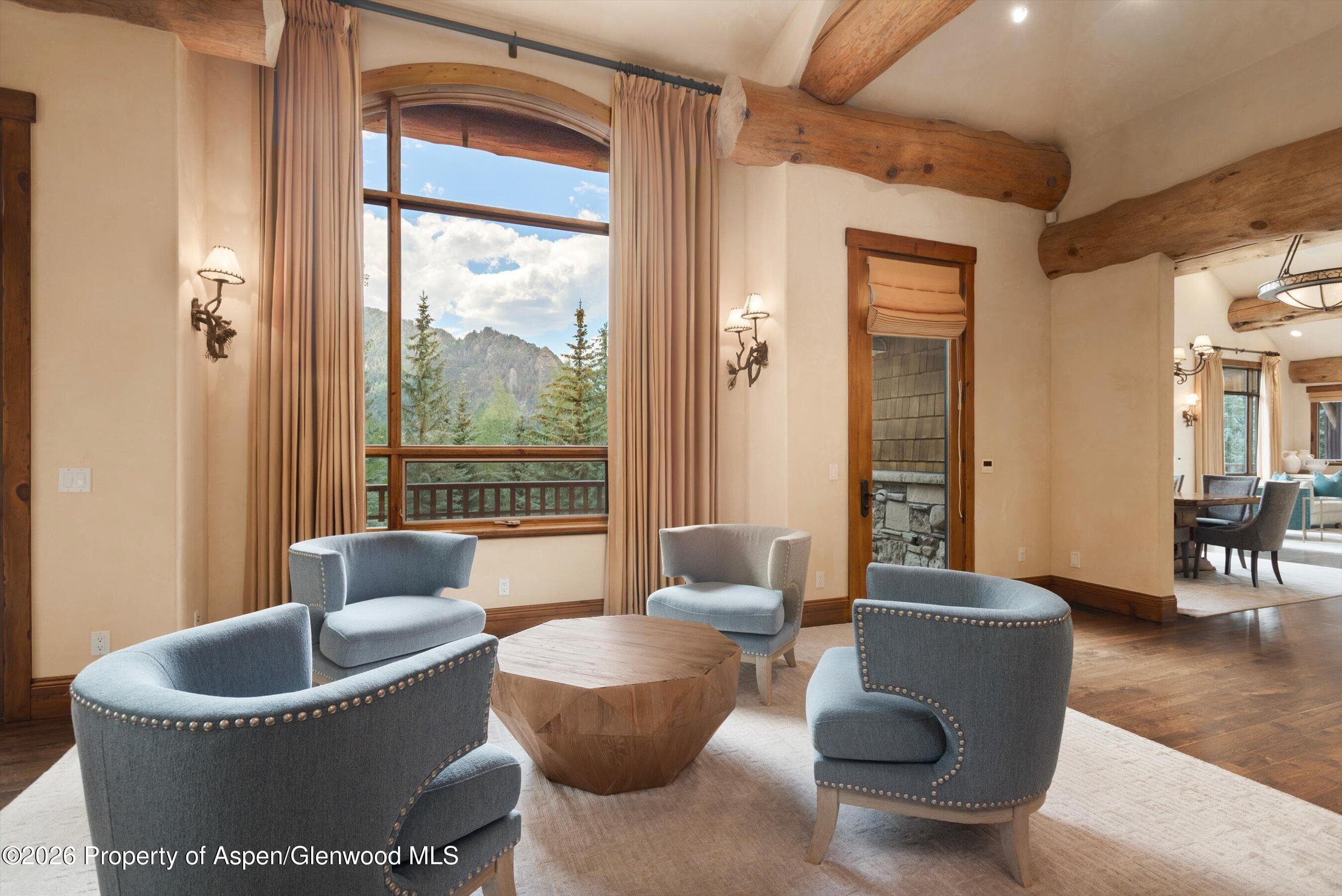 247 Willoughby Way, Aspen, CO 81611 - Photo 14