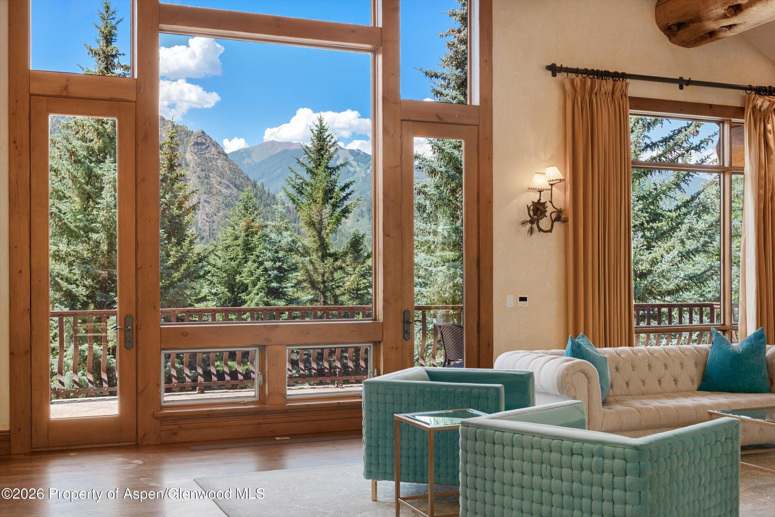 247 Willoughby Way, Aspen, CO 81611 - Photo 9