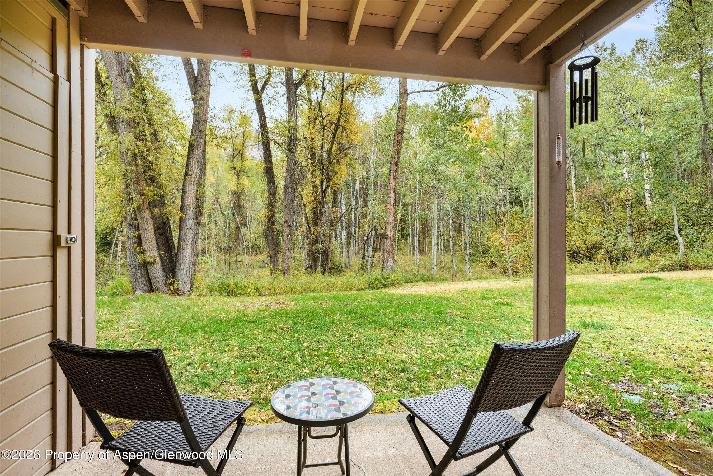 416 Vine Street, Aspen, CO 81611 - Photo 14