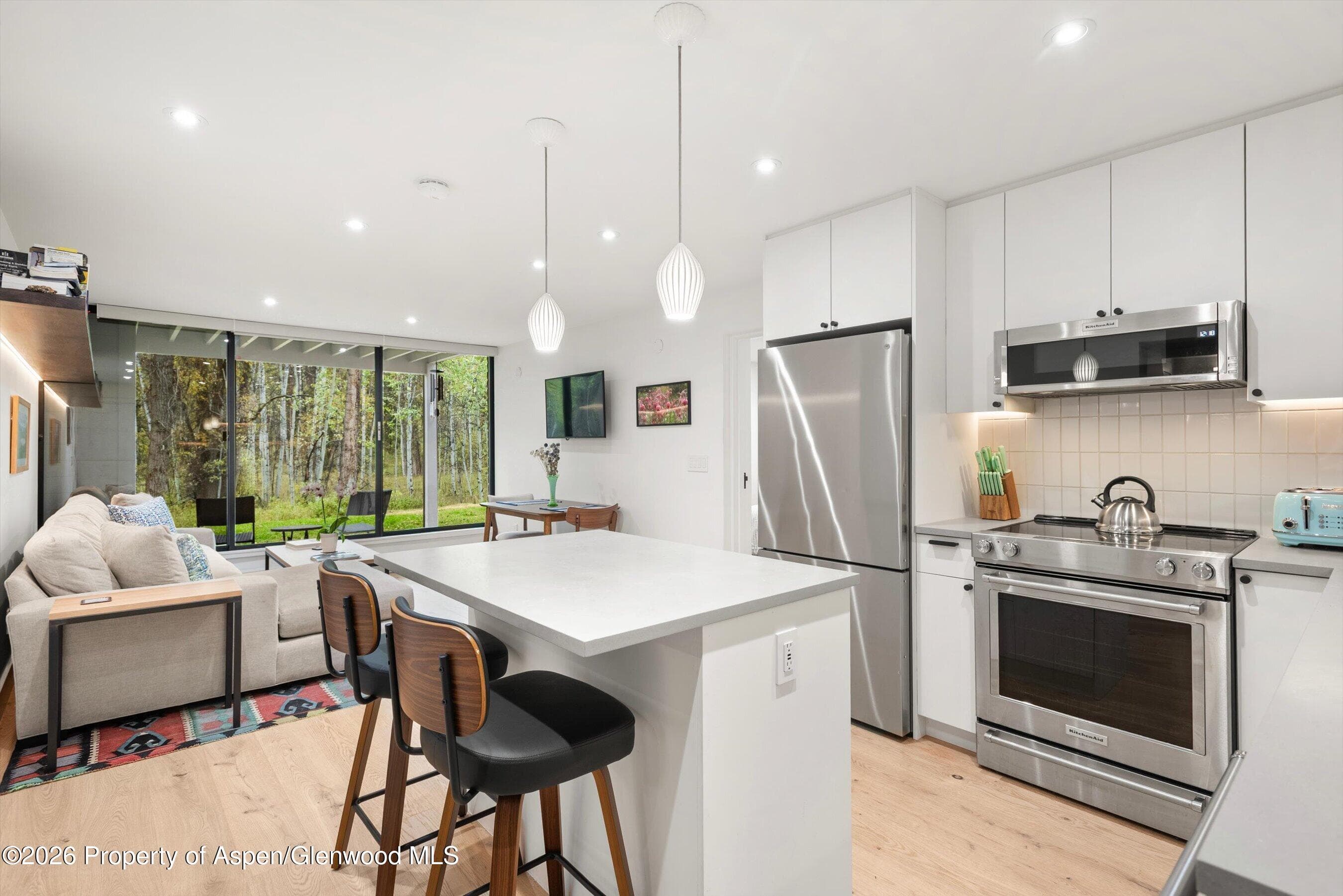 416 Vine Street, Aspen, CO 81611 - Photo 4