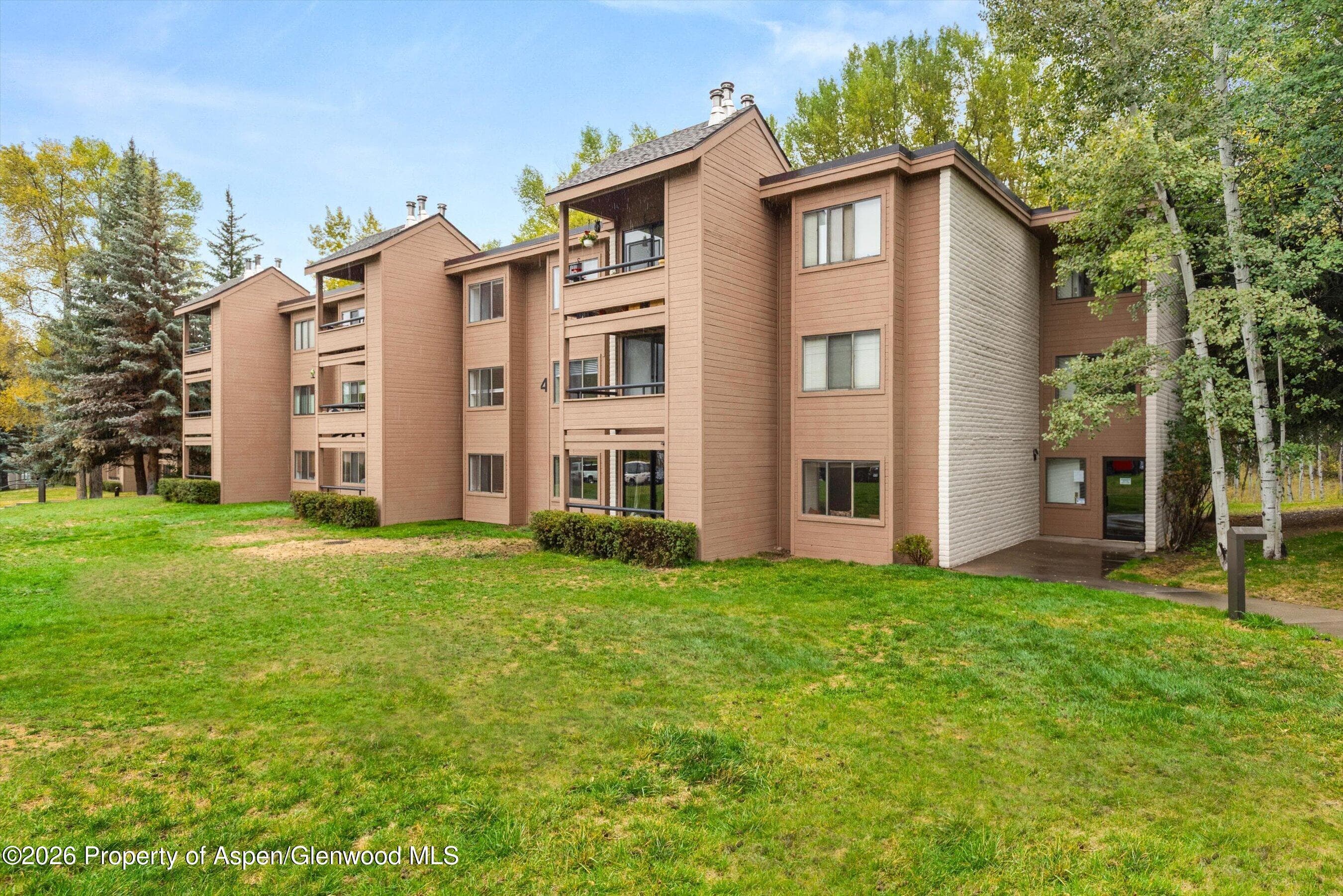 416 Vine Street, Aspen, CO 81611 - Photo 15
