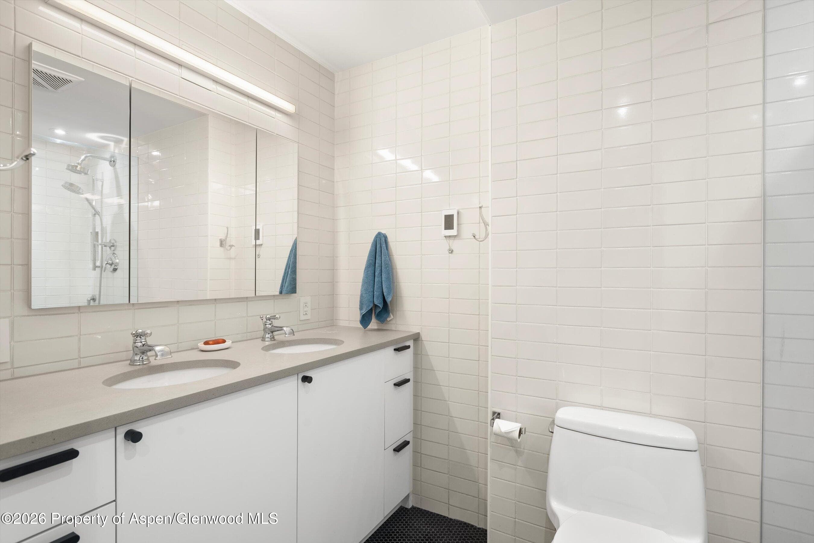 416 Vine Street, Aspen, CO 81611 - Photo 11