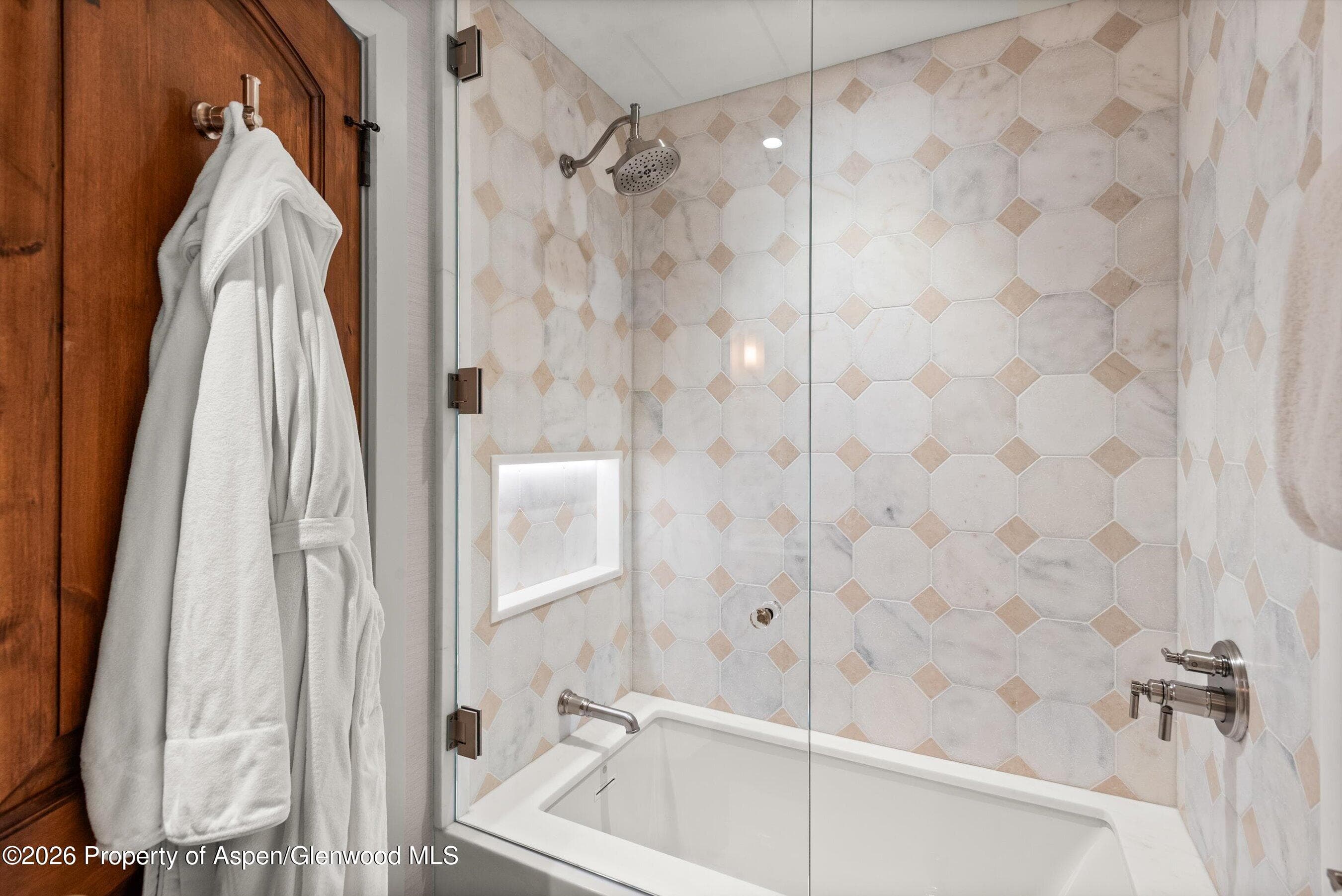 704 S Galena Street, Aspen, CO 81611 - Photo 18
