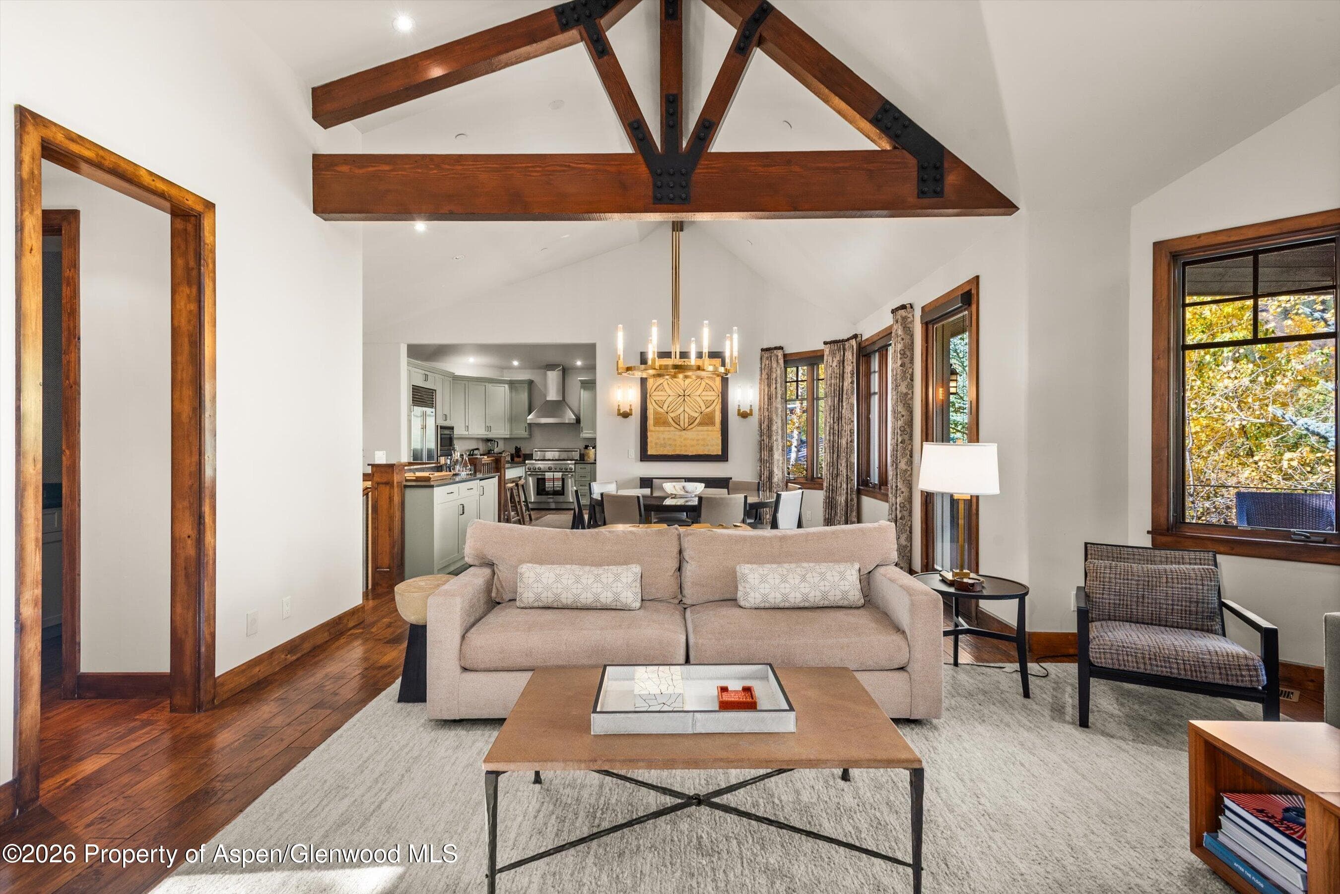704 S Galena Street, Aspen, CO 81611 - Photo 3