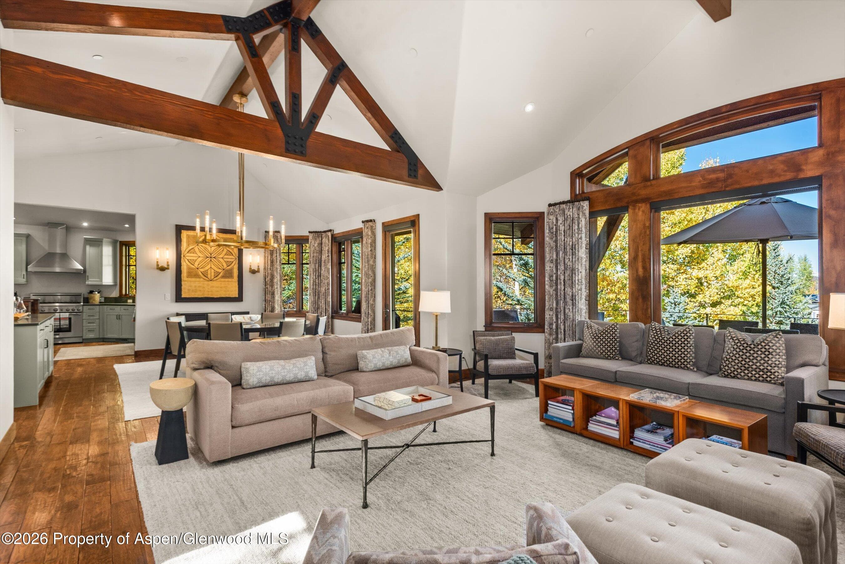 704 S Galena Street, Aspen, CO 81611 - Photo 2