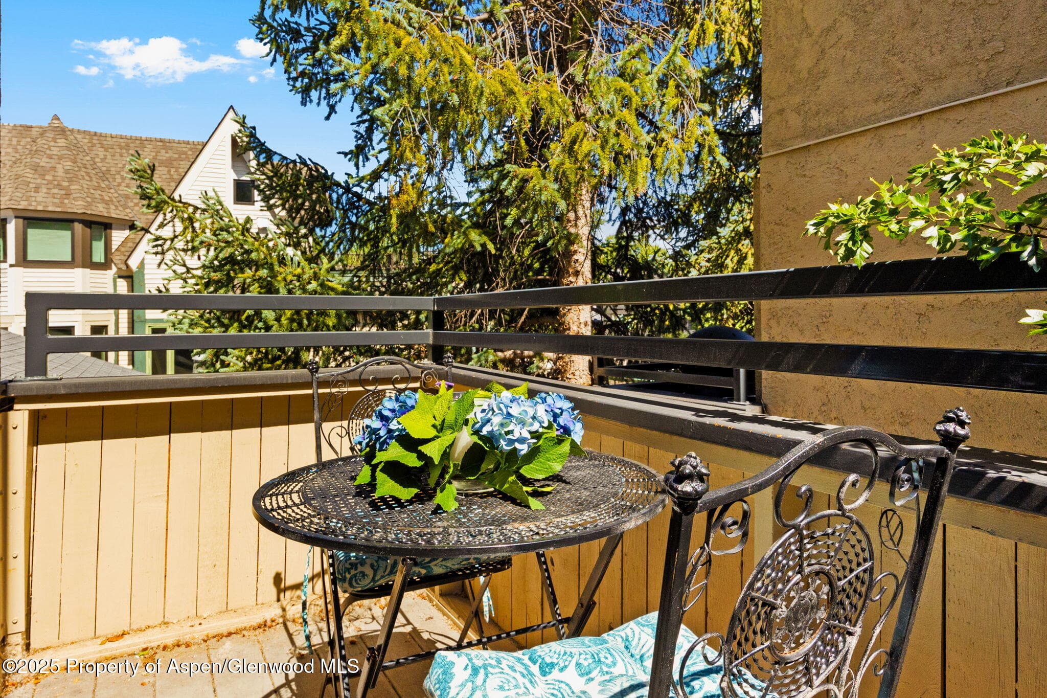 1024 E Cooper Avenue 8, Aspen, CO 81611 - Photo 6