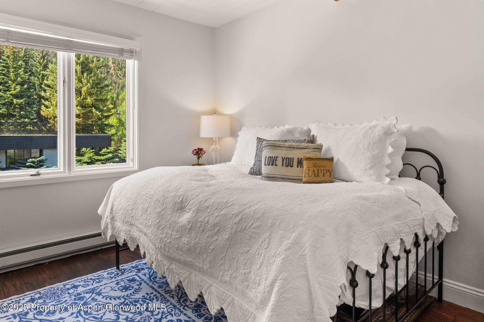 1024 E Cooper Avenue 8, Aspen, CO 81611 - Photo 13