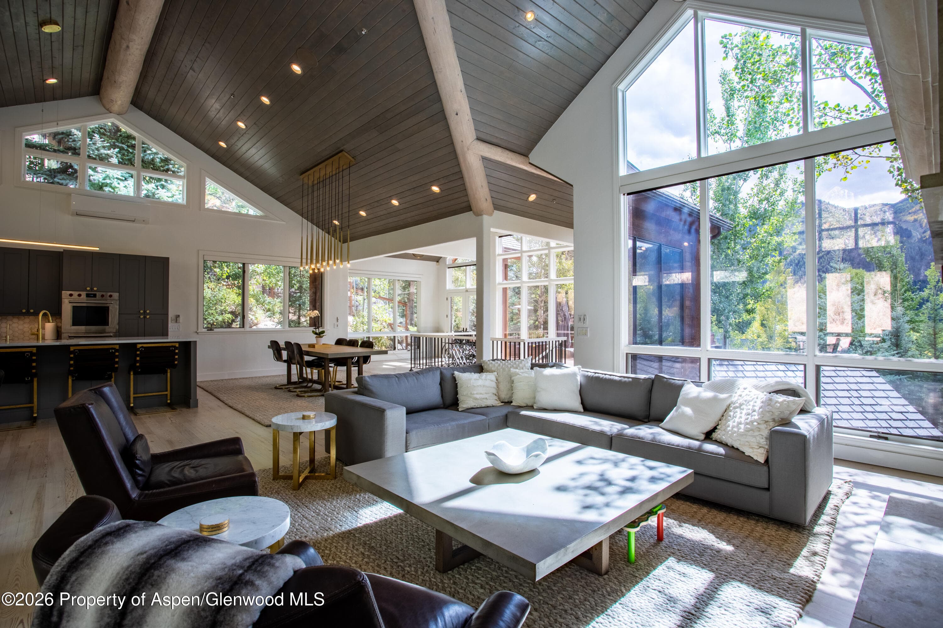 387 Silverlode Drive, Aspen, CO 81611 - Photo 4