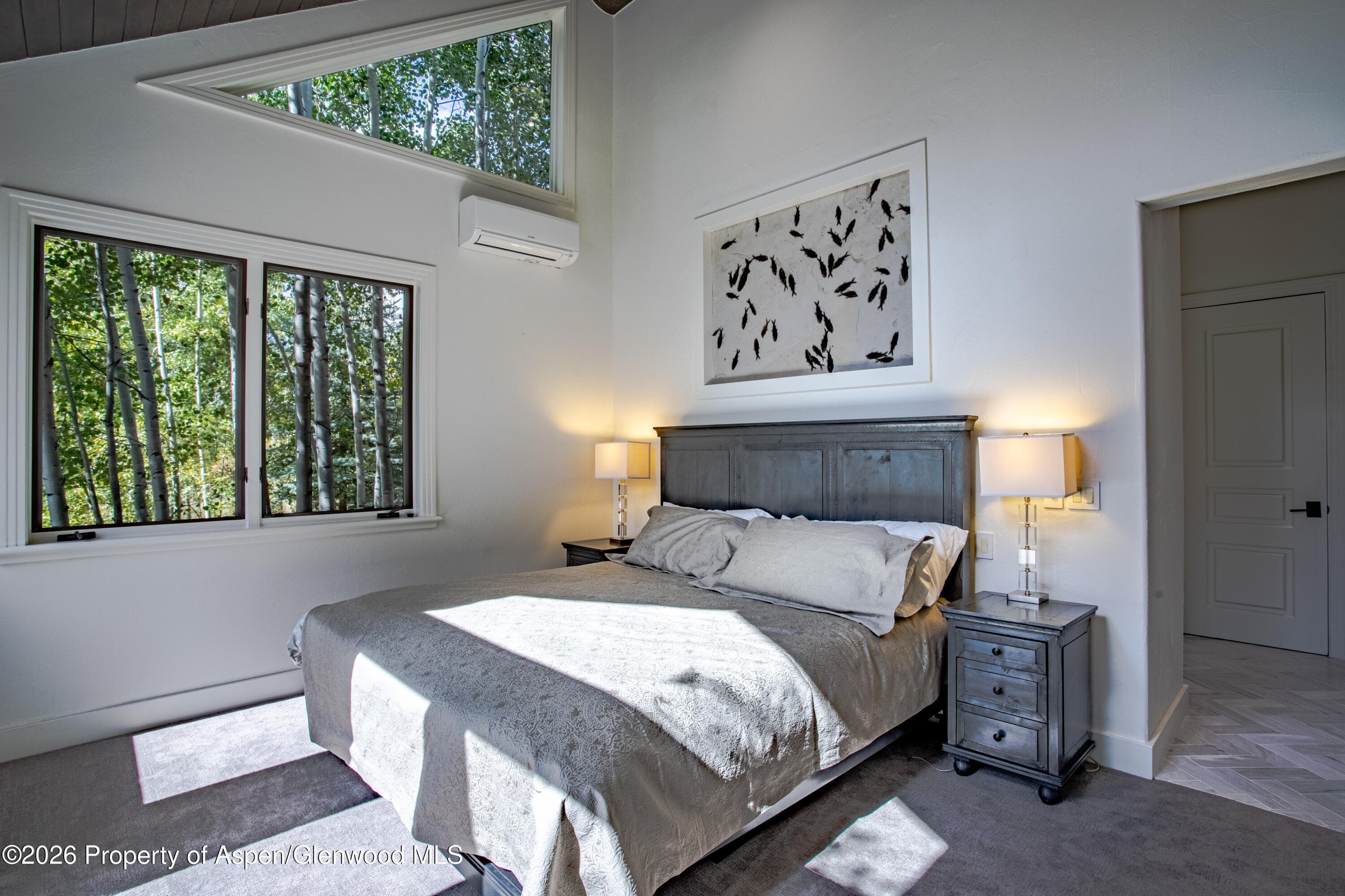 387 Silverlode Drive, Aspen, CO 81611 - Photo 17
