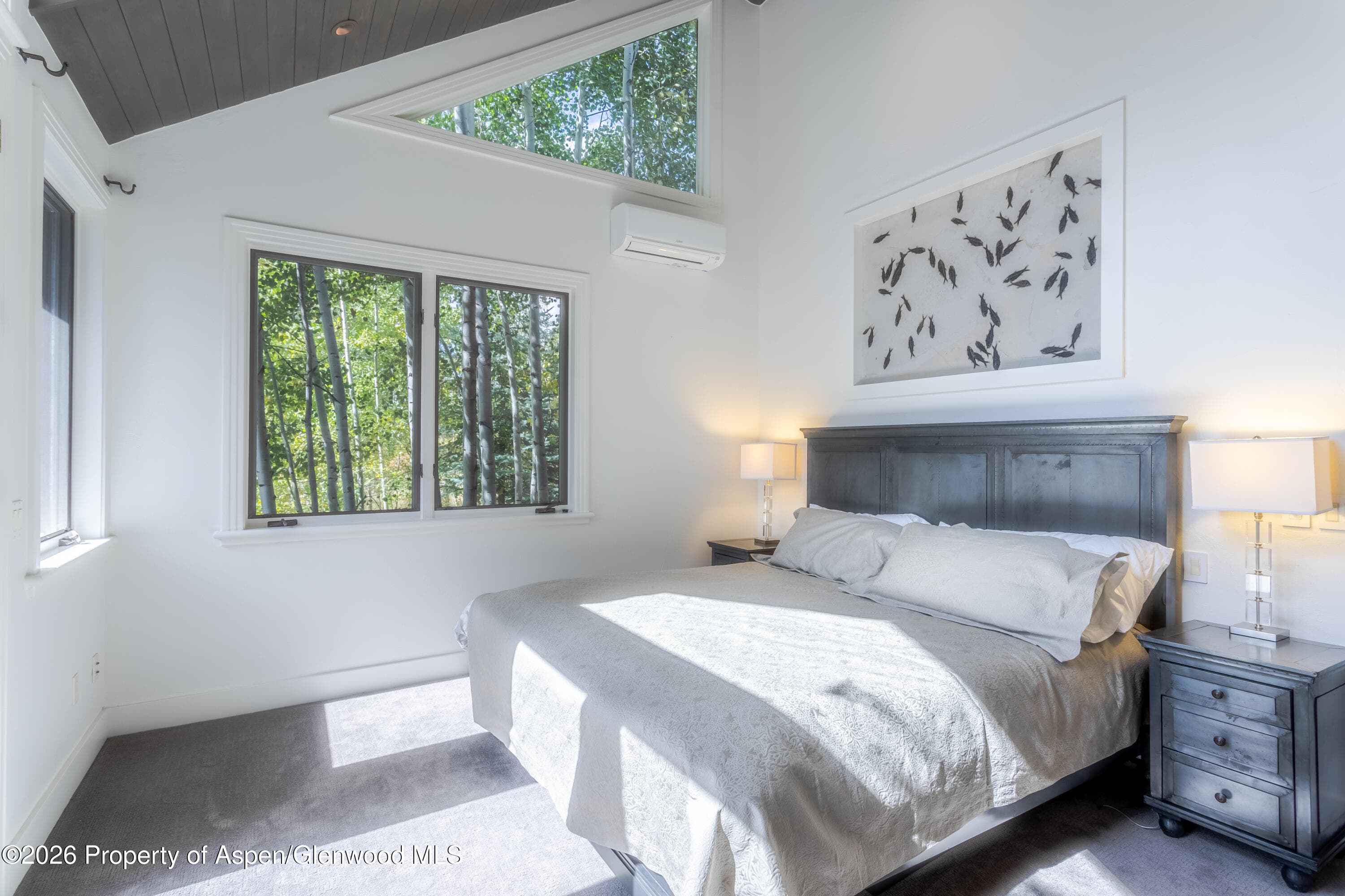 387 Silverlode Drive, Aspen, CO 81611 - Photo 16