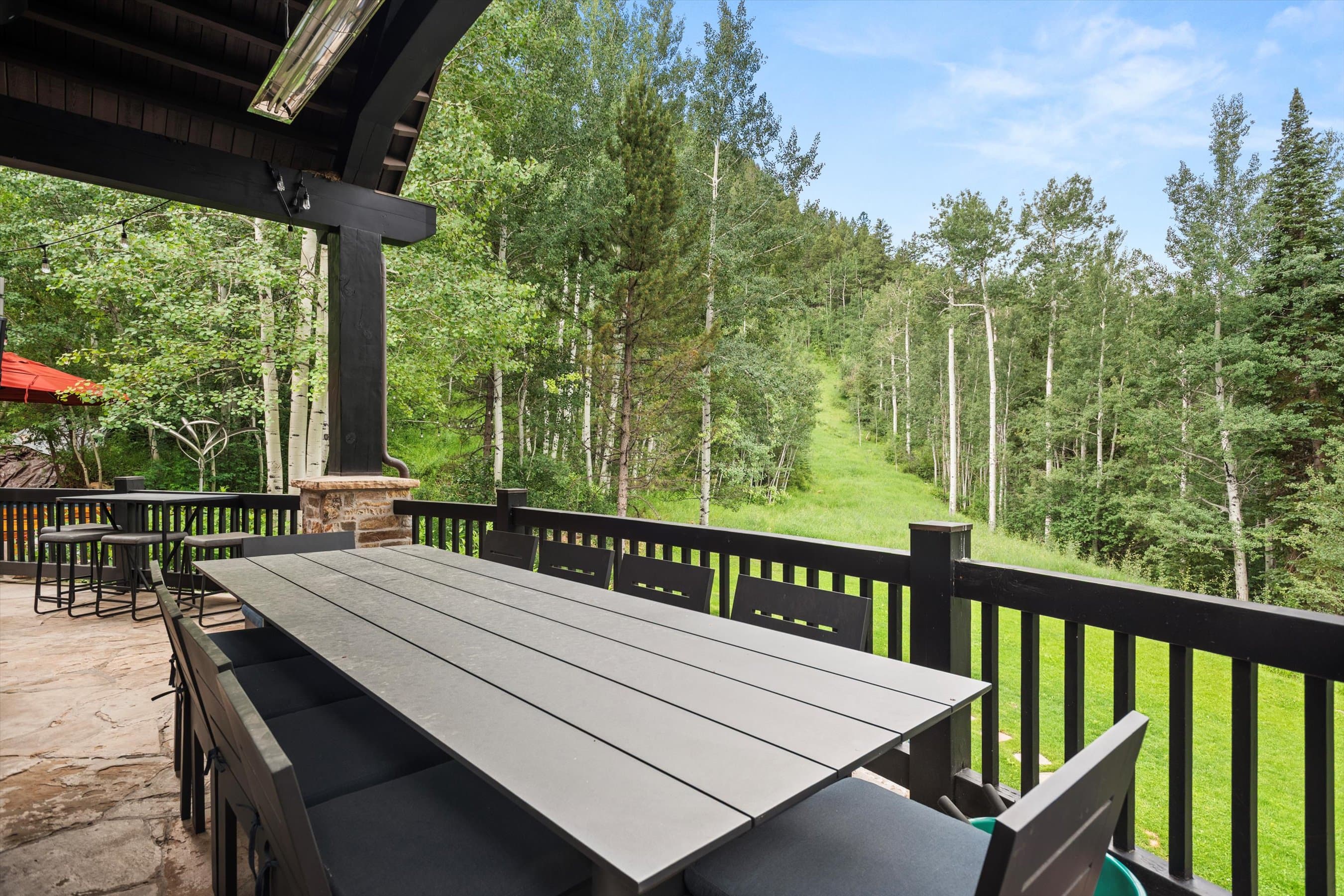 289 Exhibition Lane, Aspen, CO 81611 - Photo 39