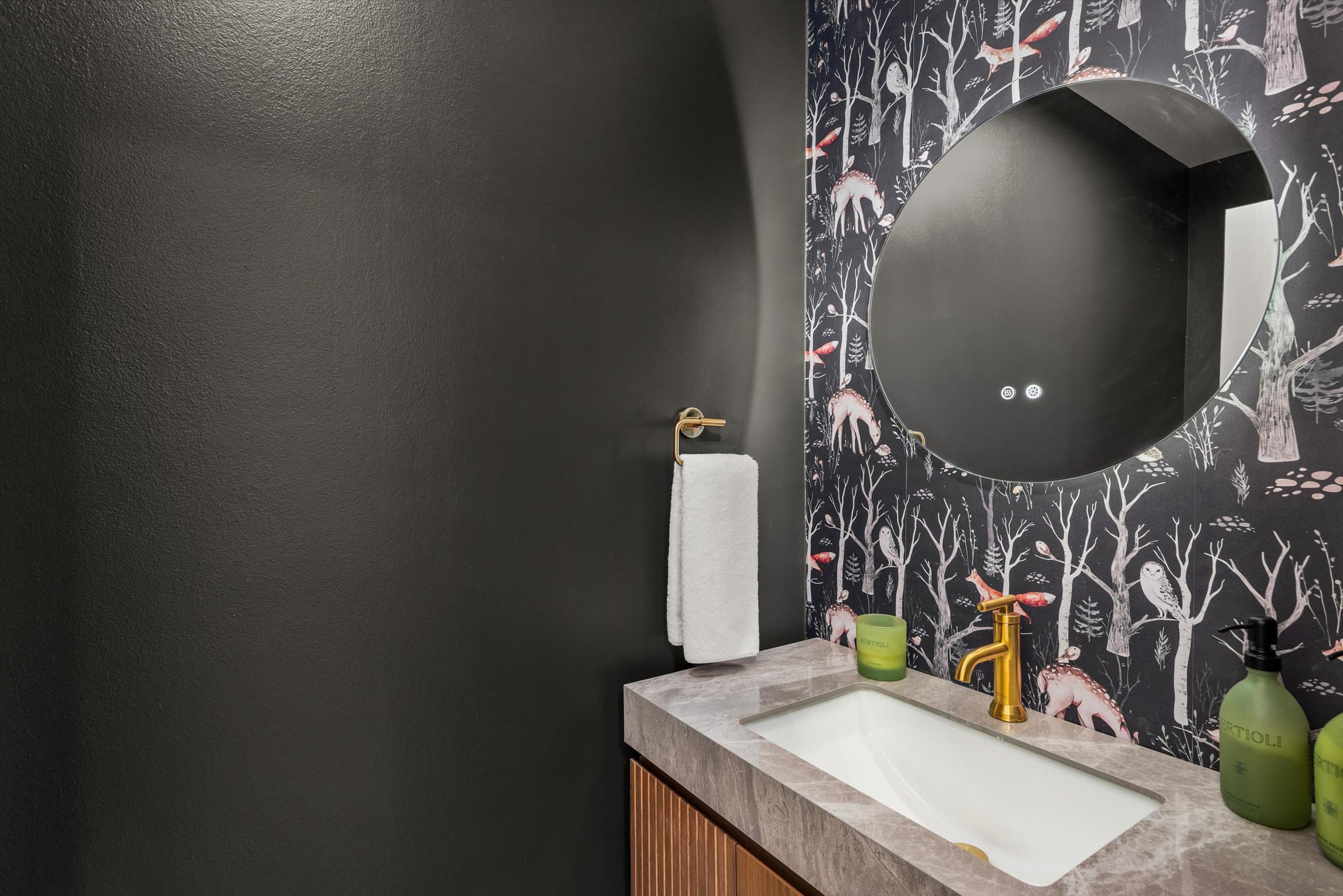 262 Eastwood Drive, Aspen, CO 81611 - Photo 20