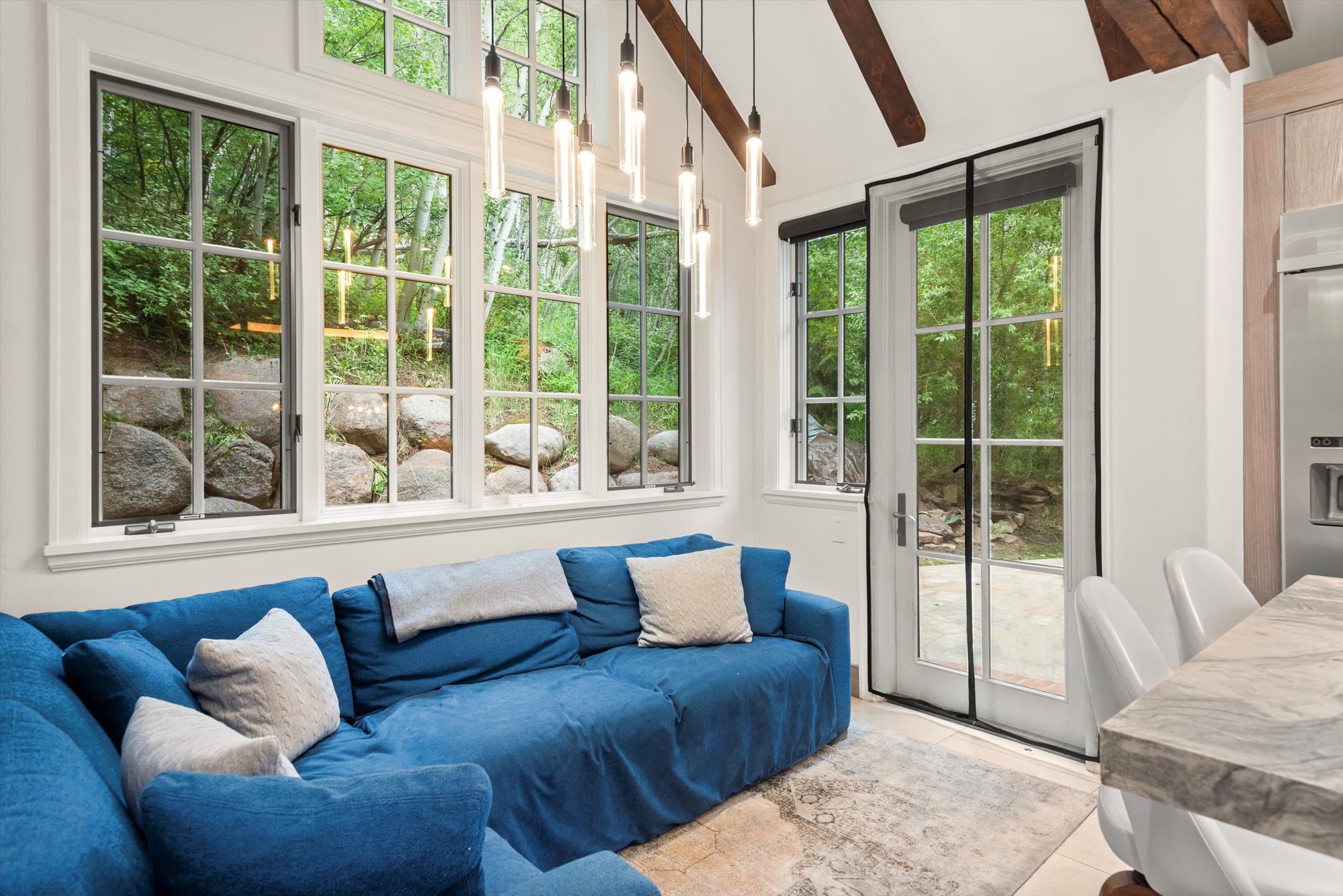 289 Exhibition Lane, Aspen, CO 81611 - Photo 22