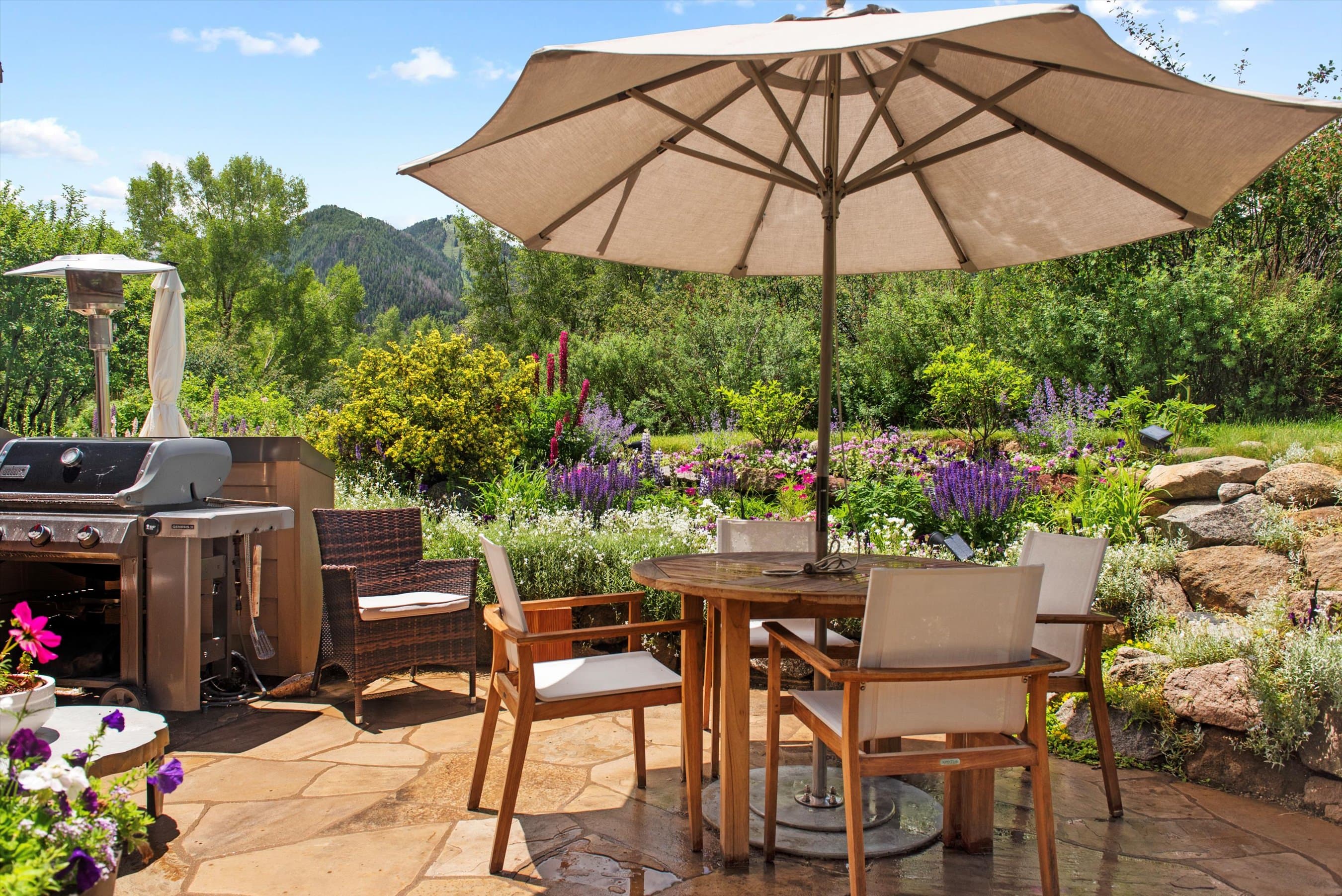 155 Lone Pine Road 8, Aspen, CO 81611 - Photo 22